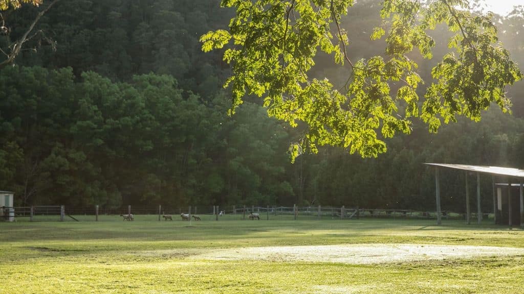 Country Getaway at Crystal Creek