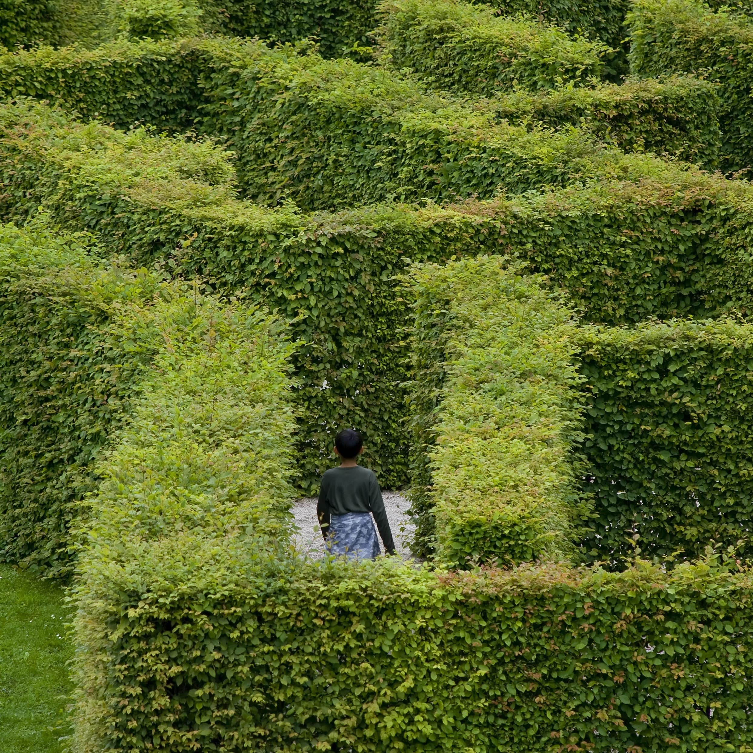 Child walking through a maze