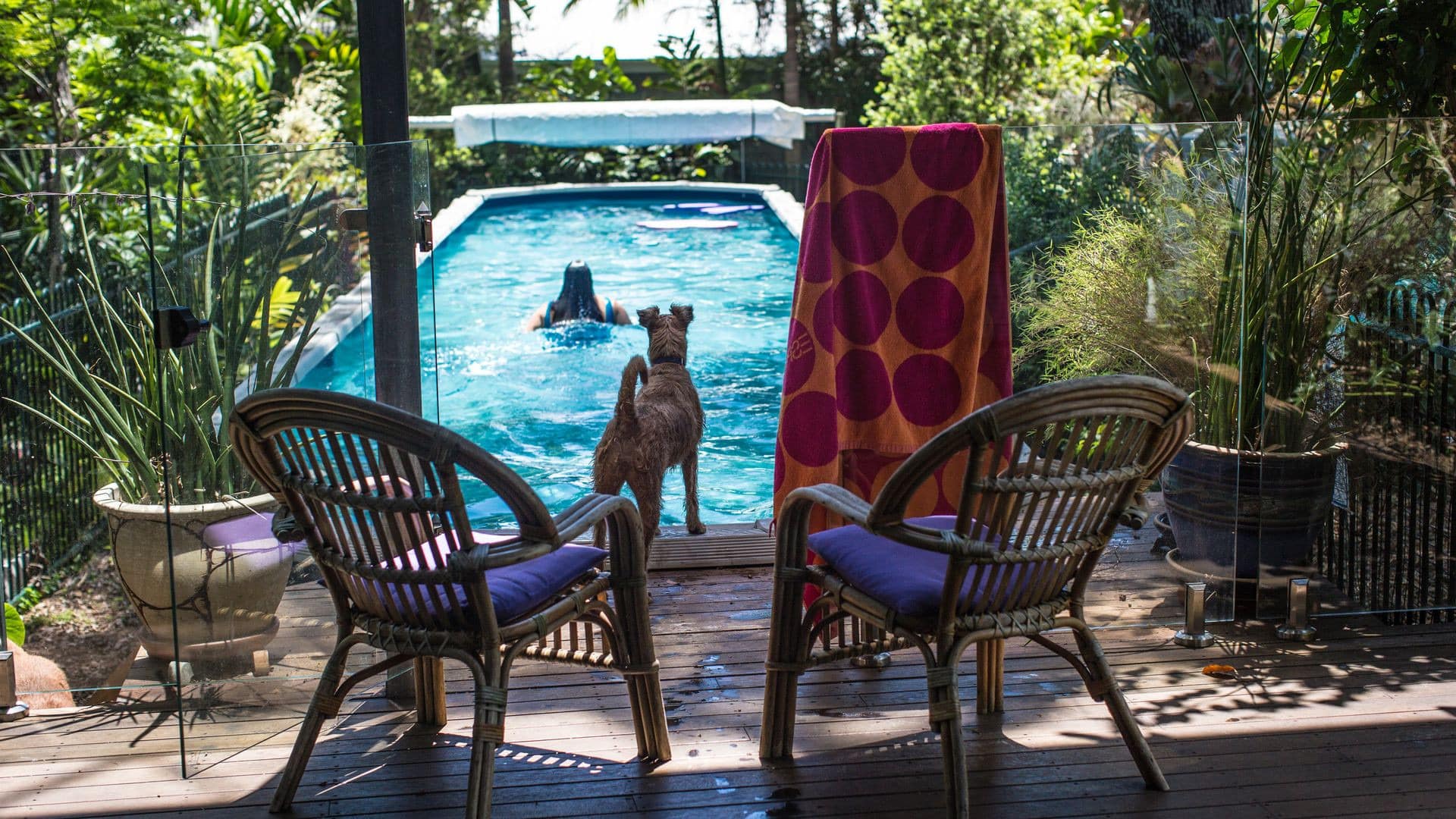 Marvel at nature from a holiday house in Bribie Island