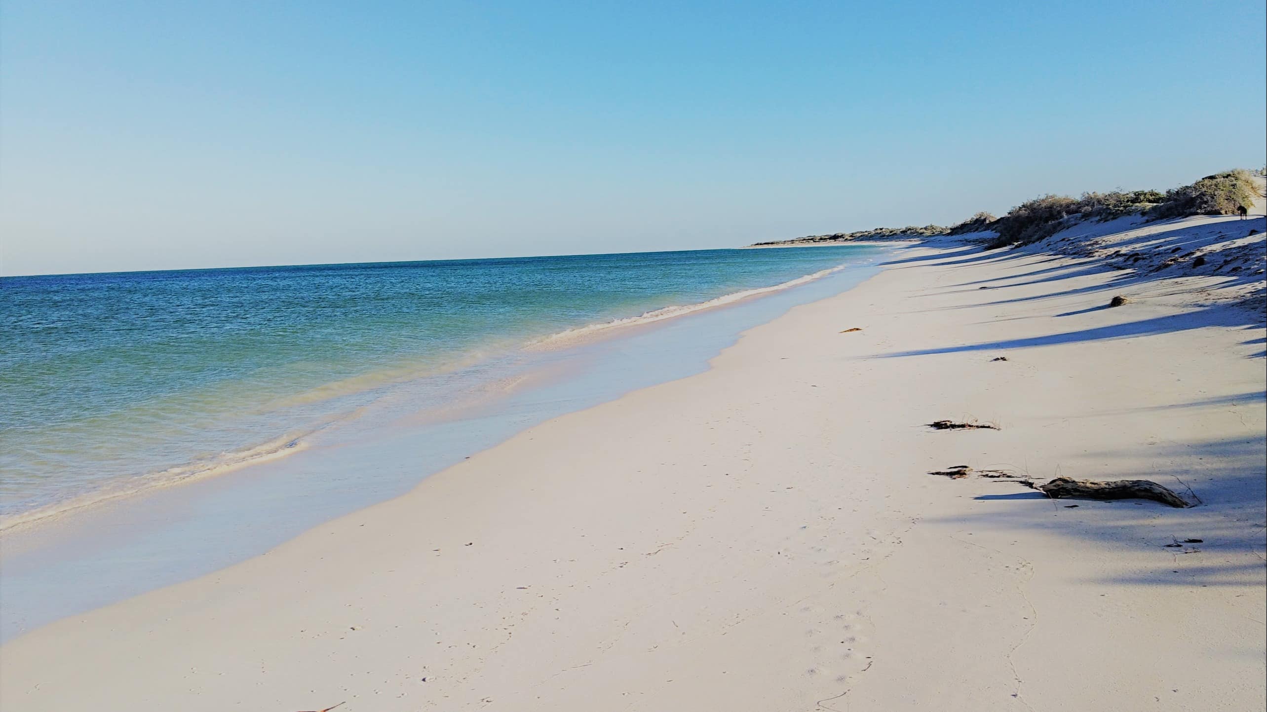 Fall in love with the shining Coral Coast with quality Jurien Bay accommodation
