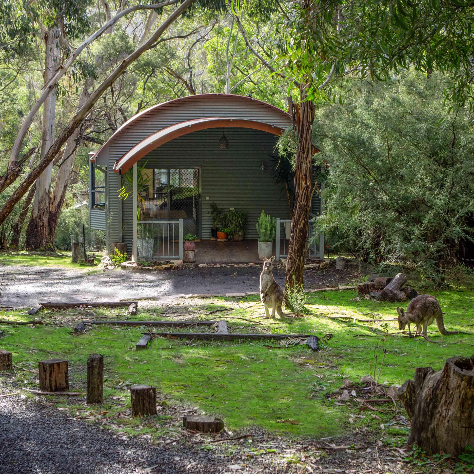 1-bedroom, studio-style couples’ retreat with a rounded roof and front porch set in wild bushland with kangaroos