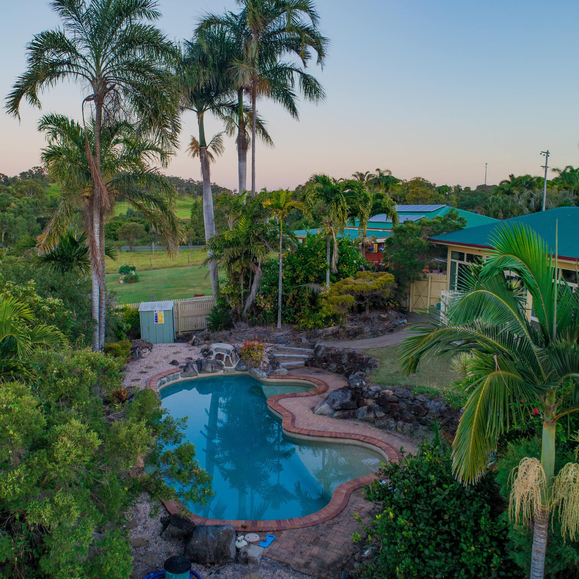 Startlingly blue private pool by bed and breakfast surrounded by palm trees