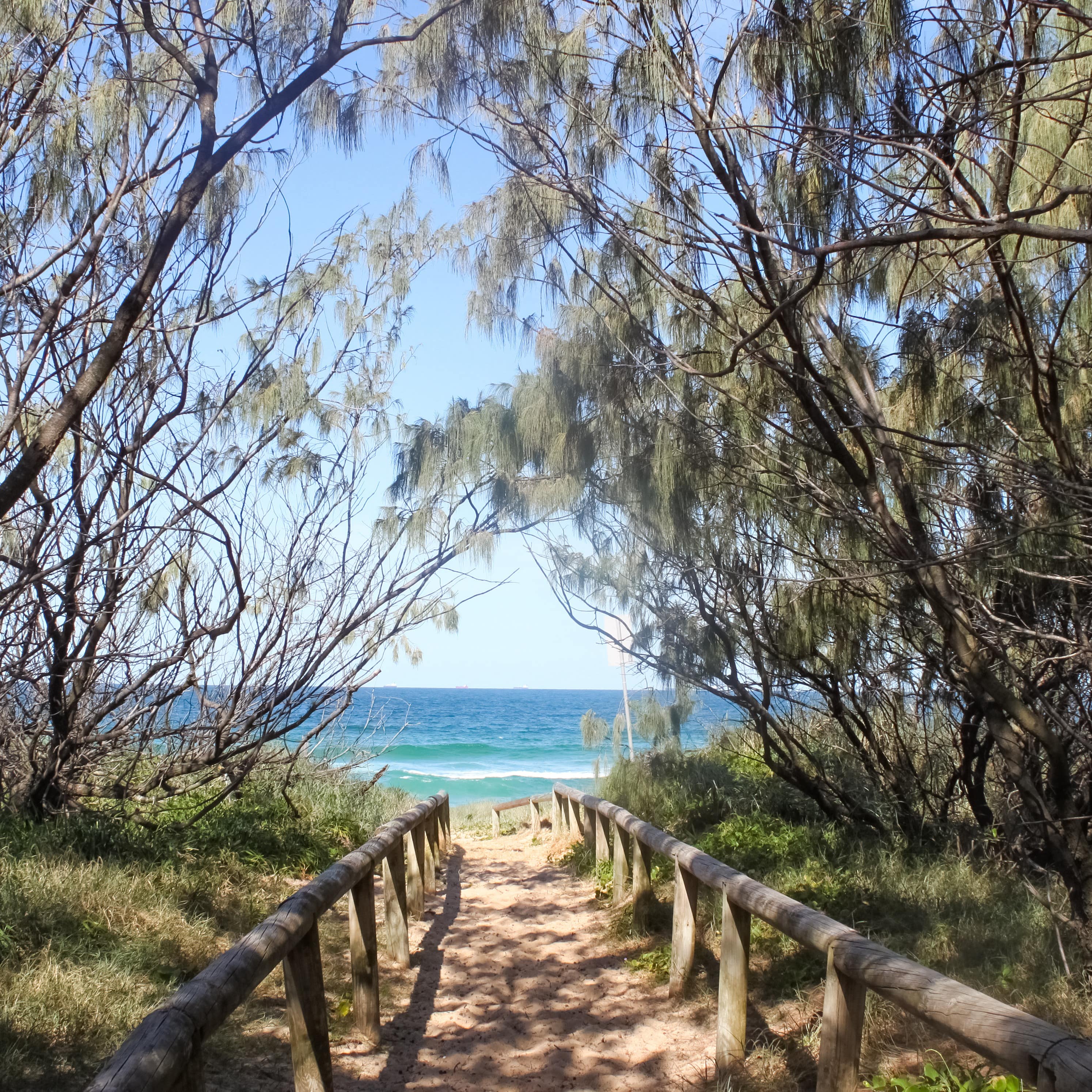 Tree lined trail down to the beach and very blue water near Mooloolaba in Queensland Australia