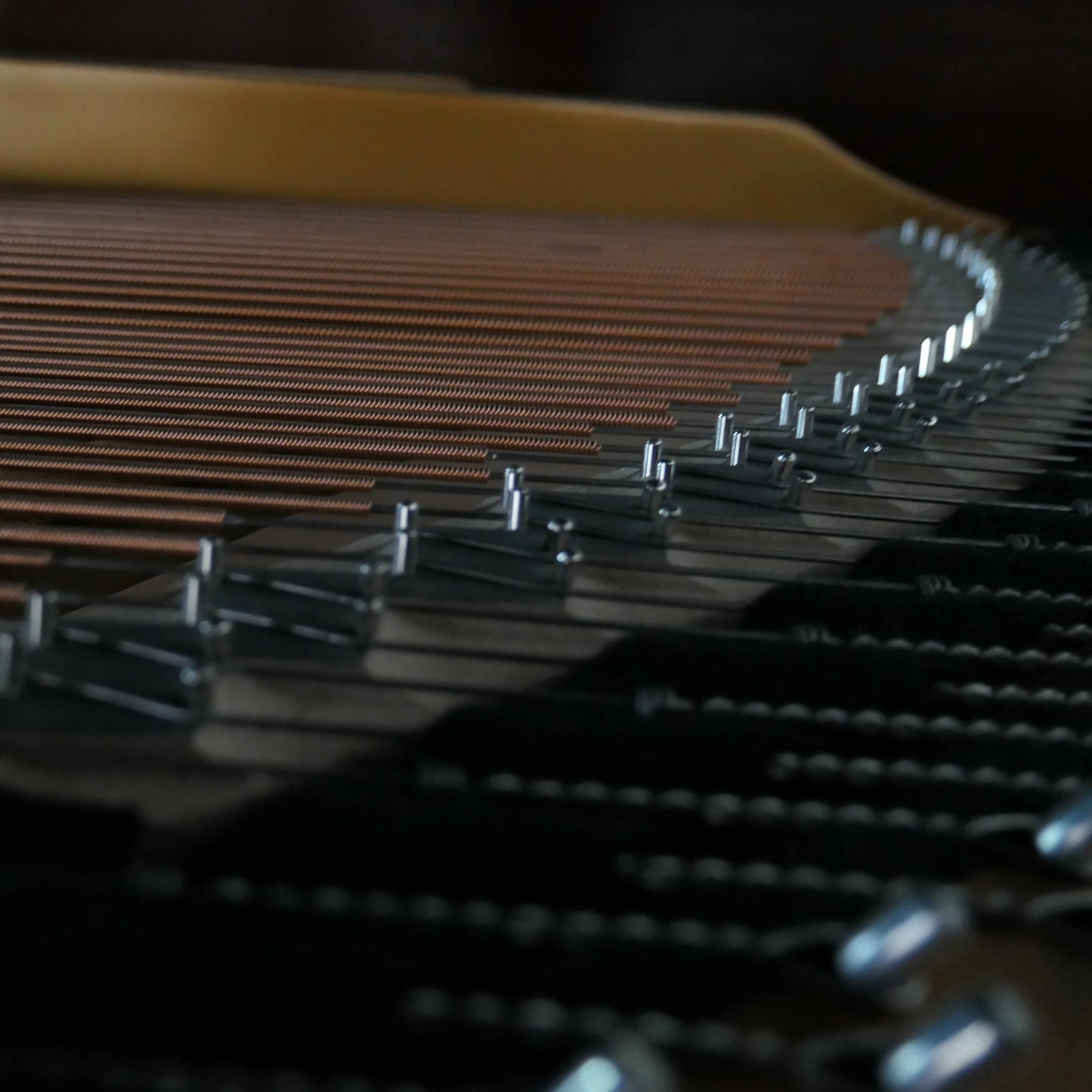A close -up of strings inside grand piano on display