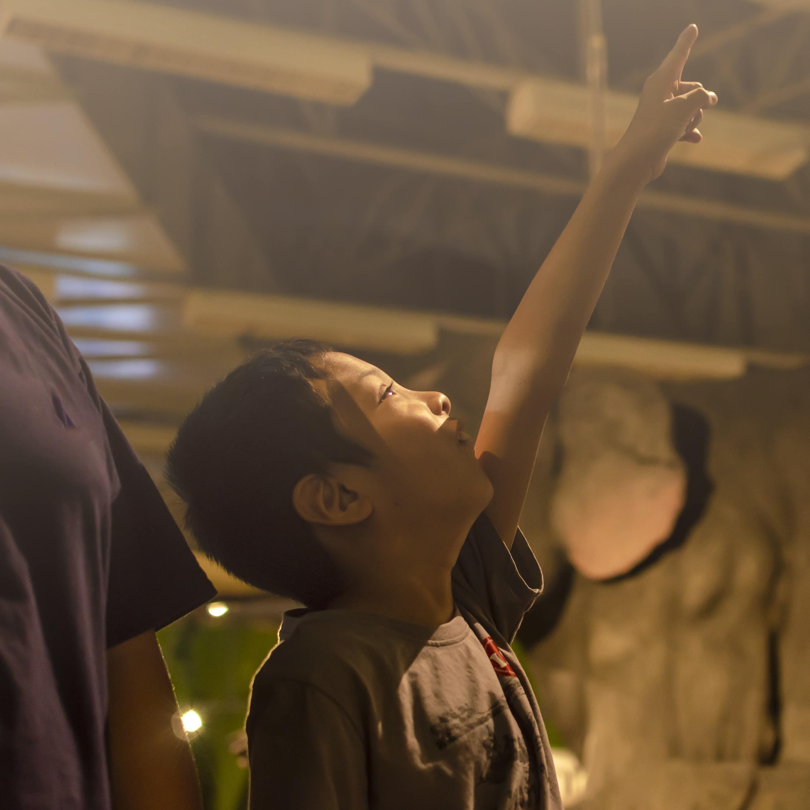 Little boy pointing at something in a museum