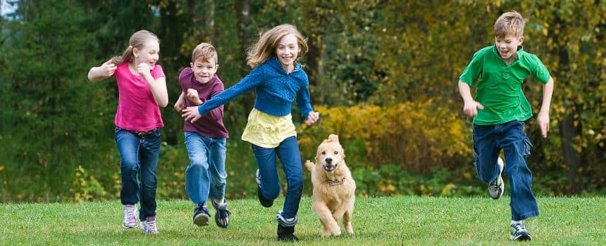 south australia - dog and kids