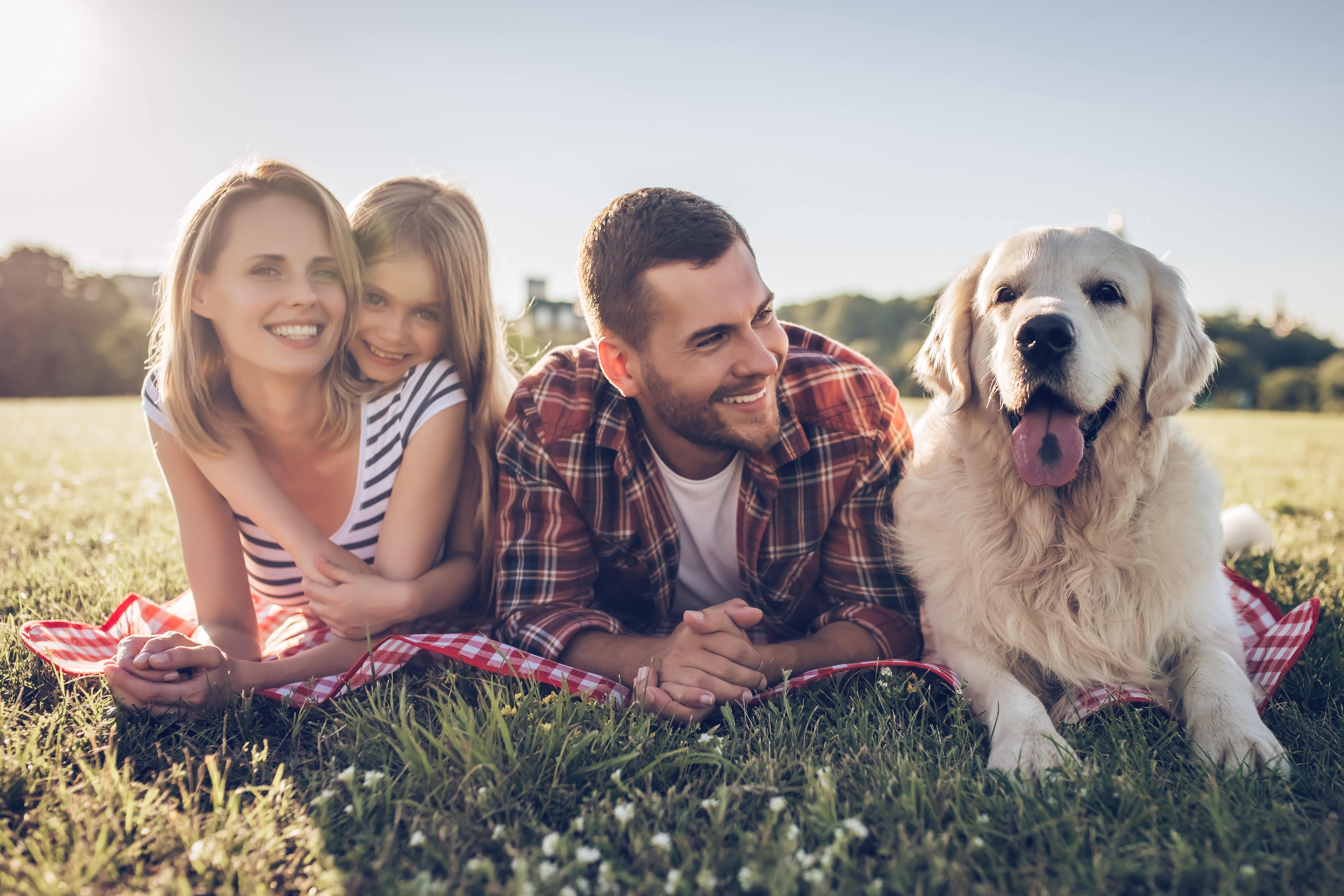 Pet-friendly holidays in Victoria
