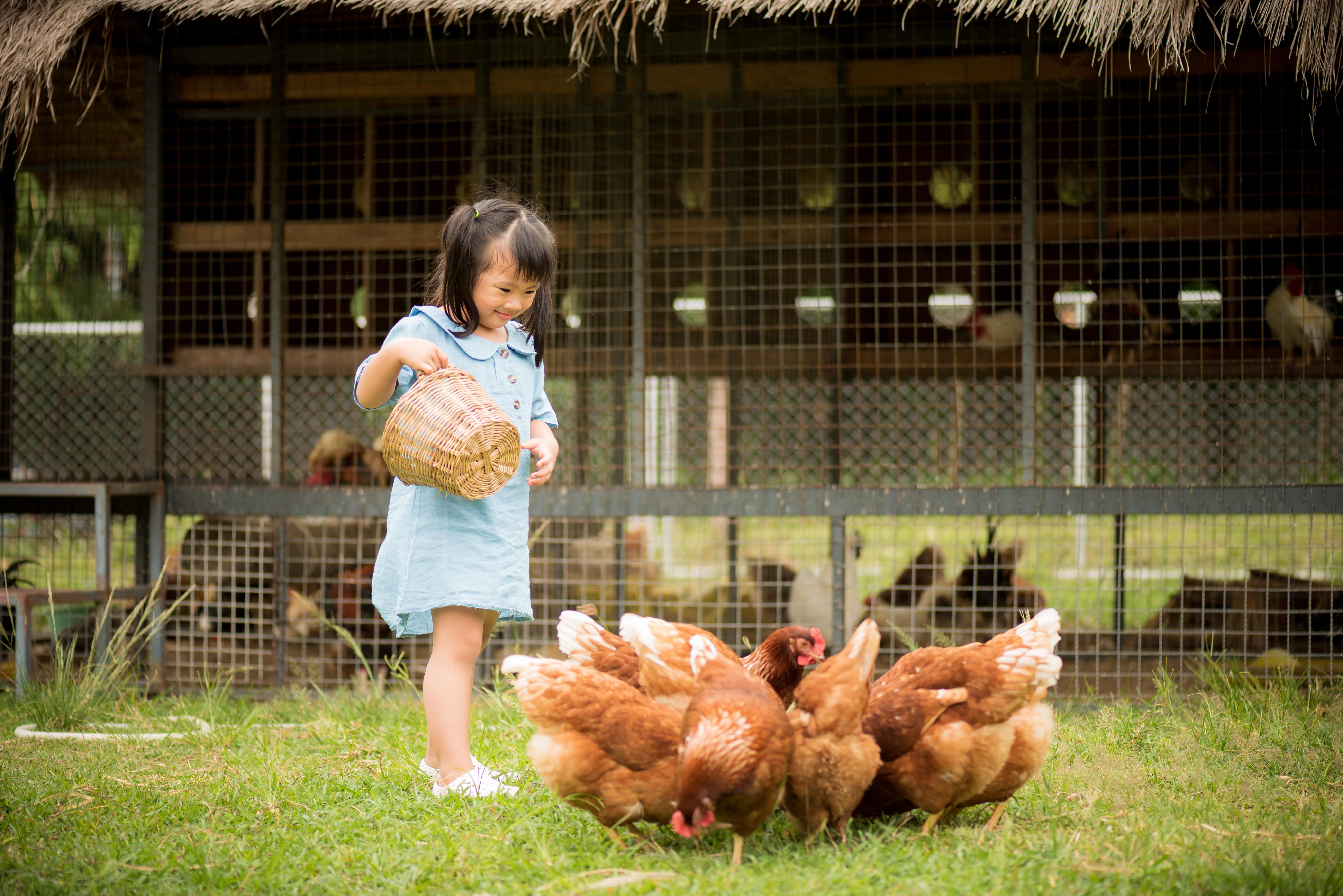 Farm stays in NSW—not just a holiday but an experience