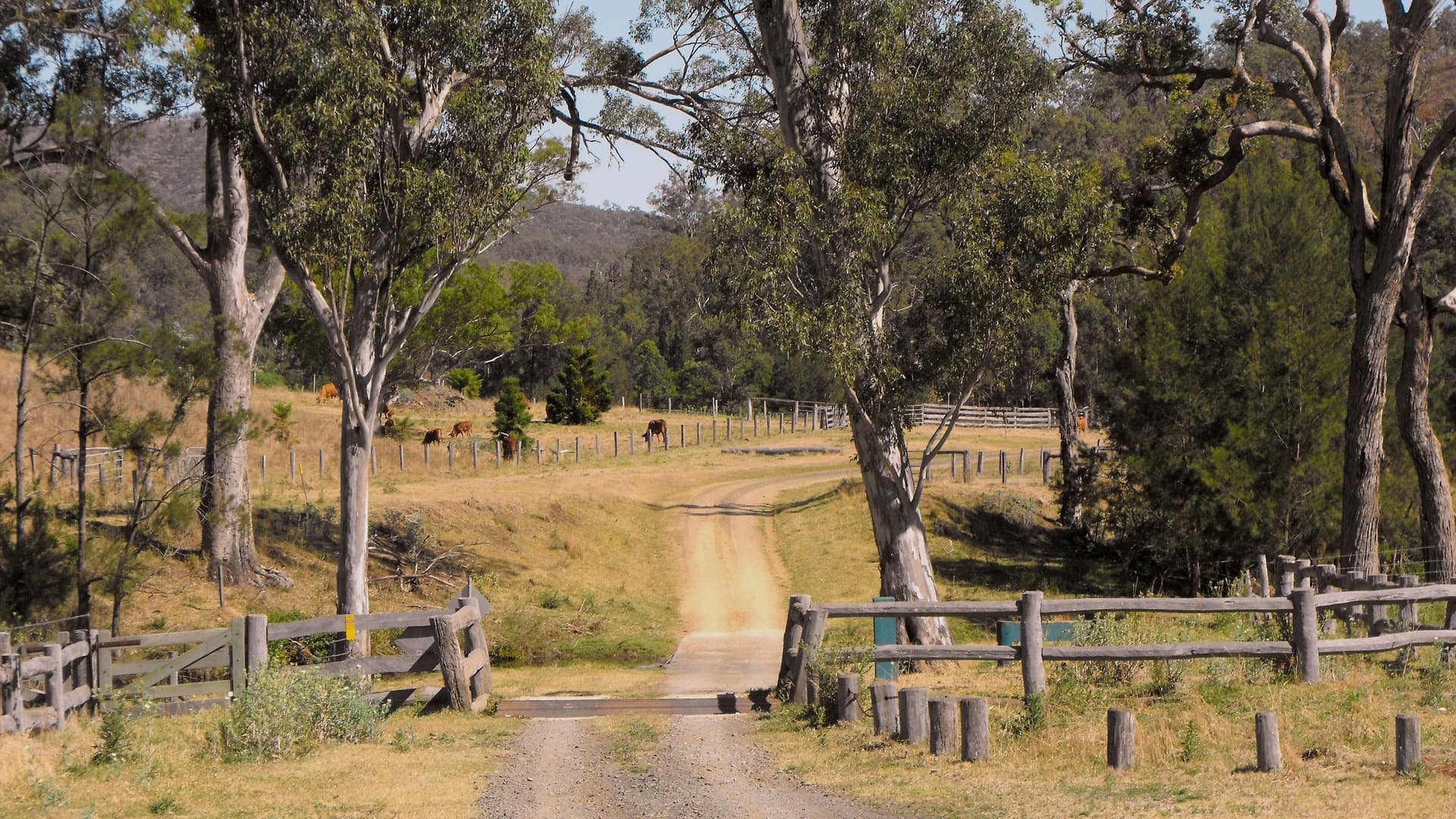 Cabins for rent to maximize your outdoor adventure