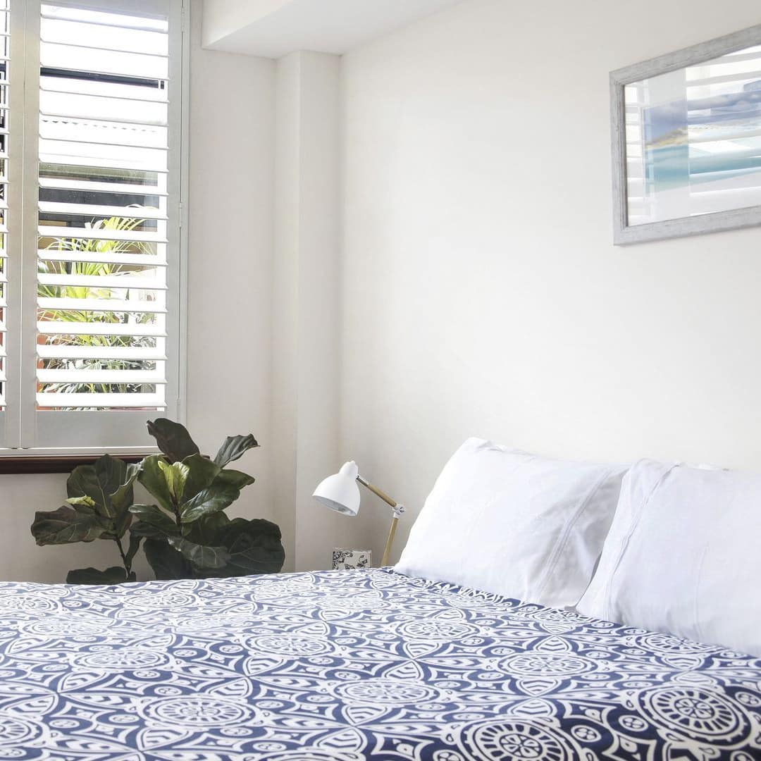 A sunny bedroom with a queen size bed, blue and white bedding, white shutters, potted tropical plants.