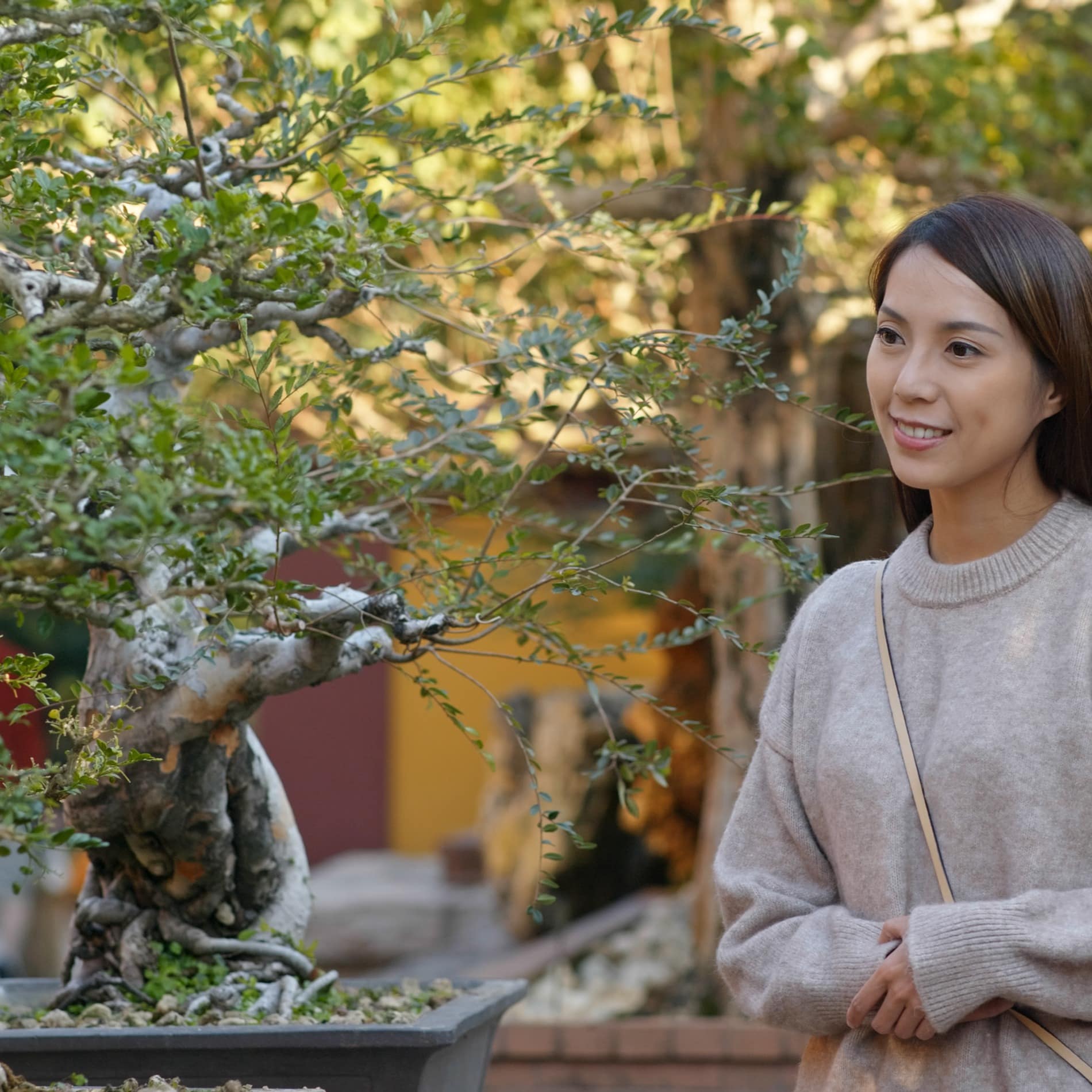 Woman looking at bonsai style plant in a garden