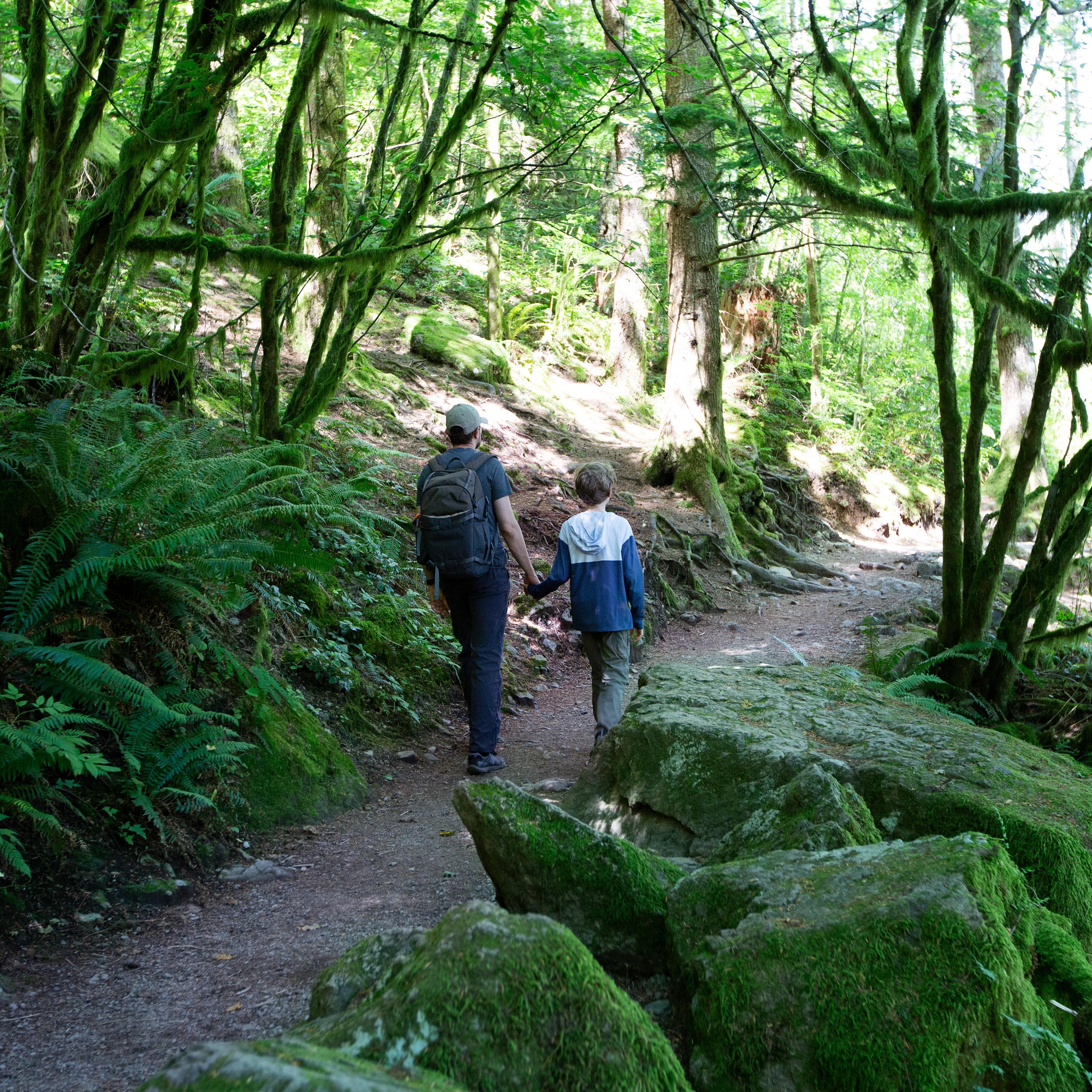 Father and son walking through the rainforest