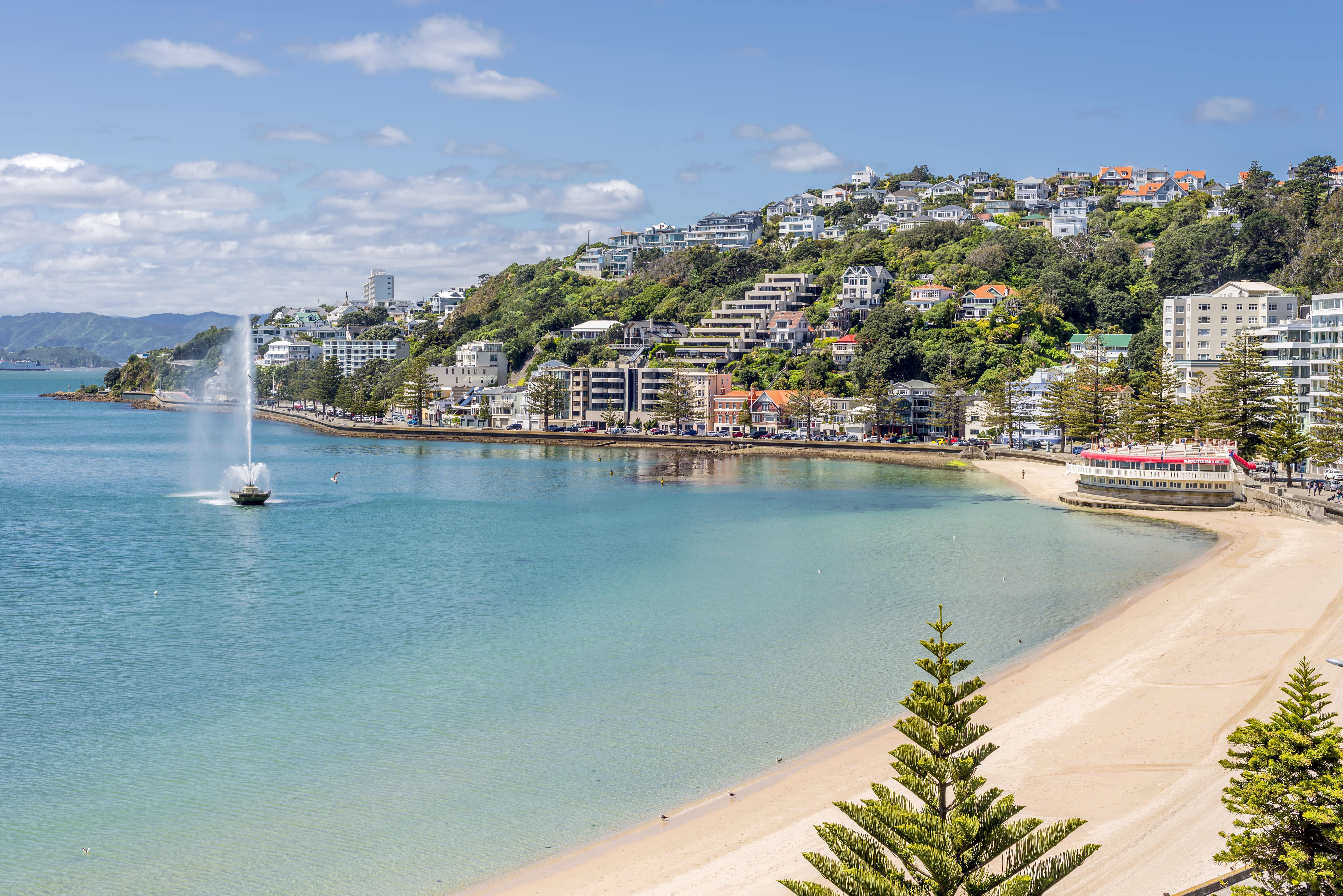 Plan a seaside retreat with the best beaches near Wellington