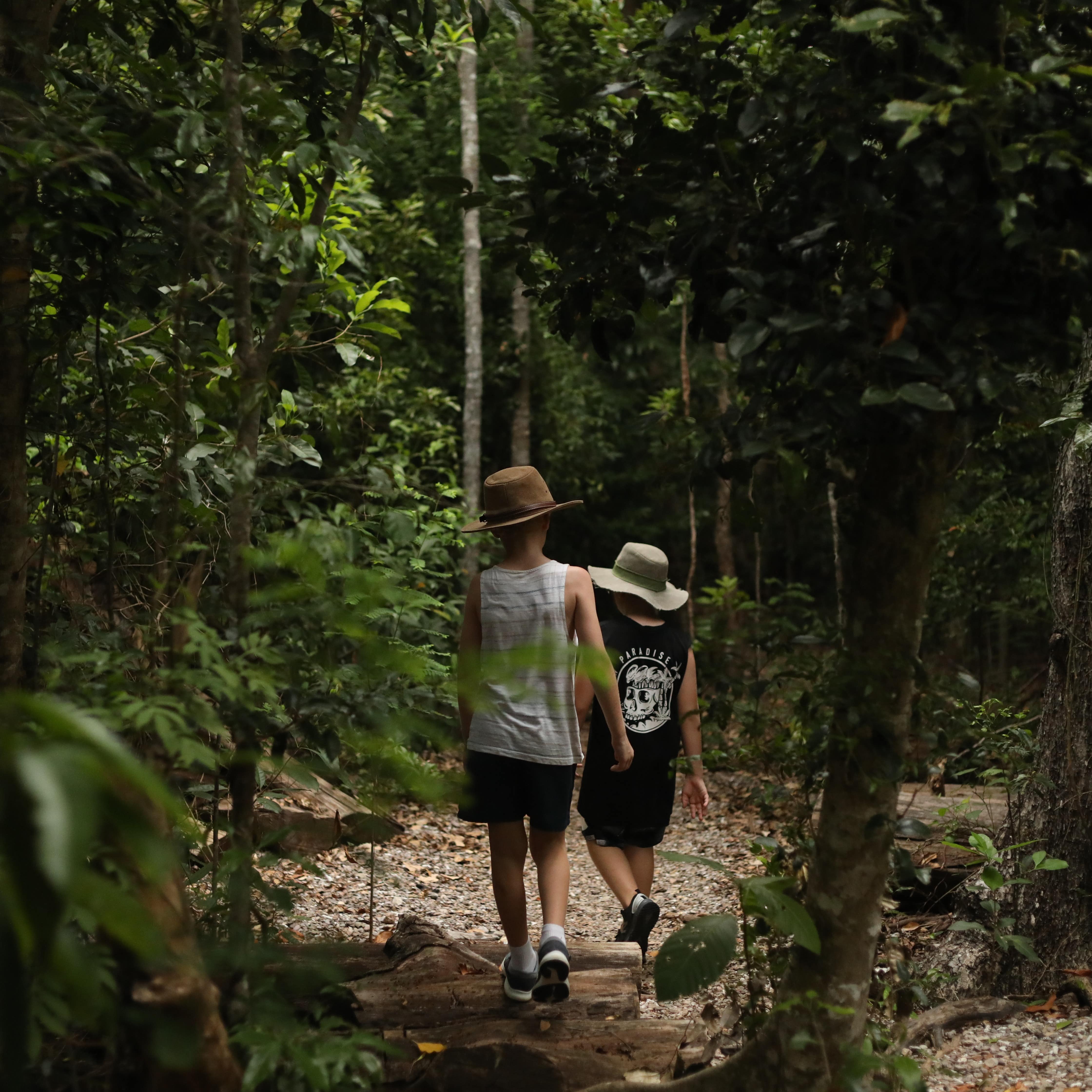 Boys walking through bush land