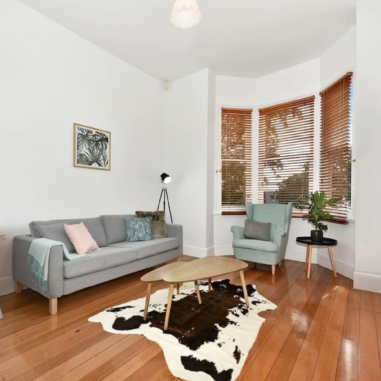 Living room with grey sofa and teal armchair with coffee table, rug and windows filled with sun