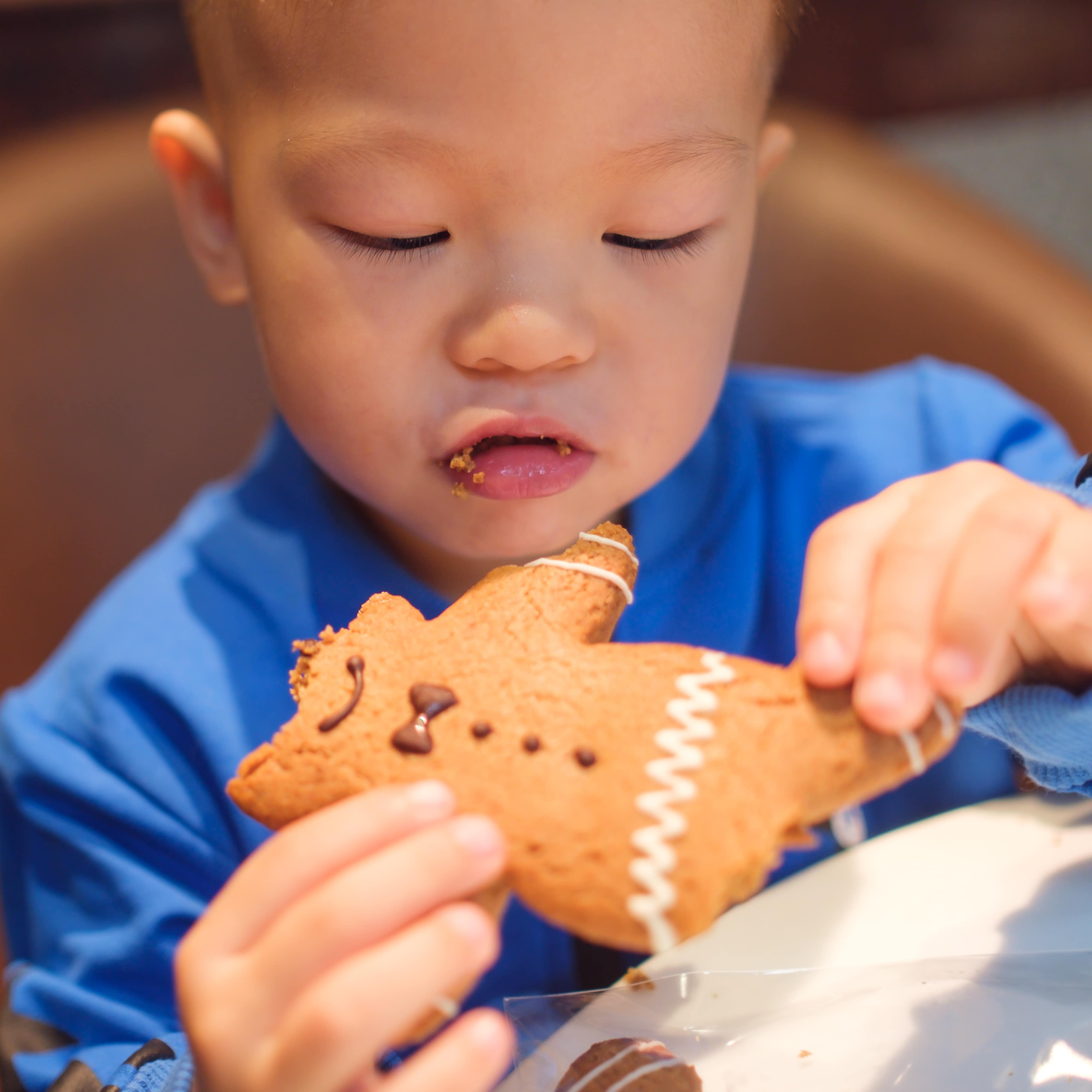 Young child eating a gingerbread cookie
