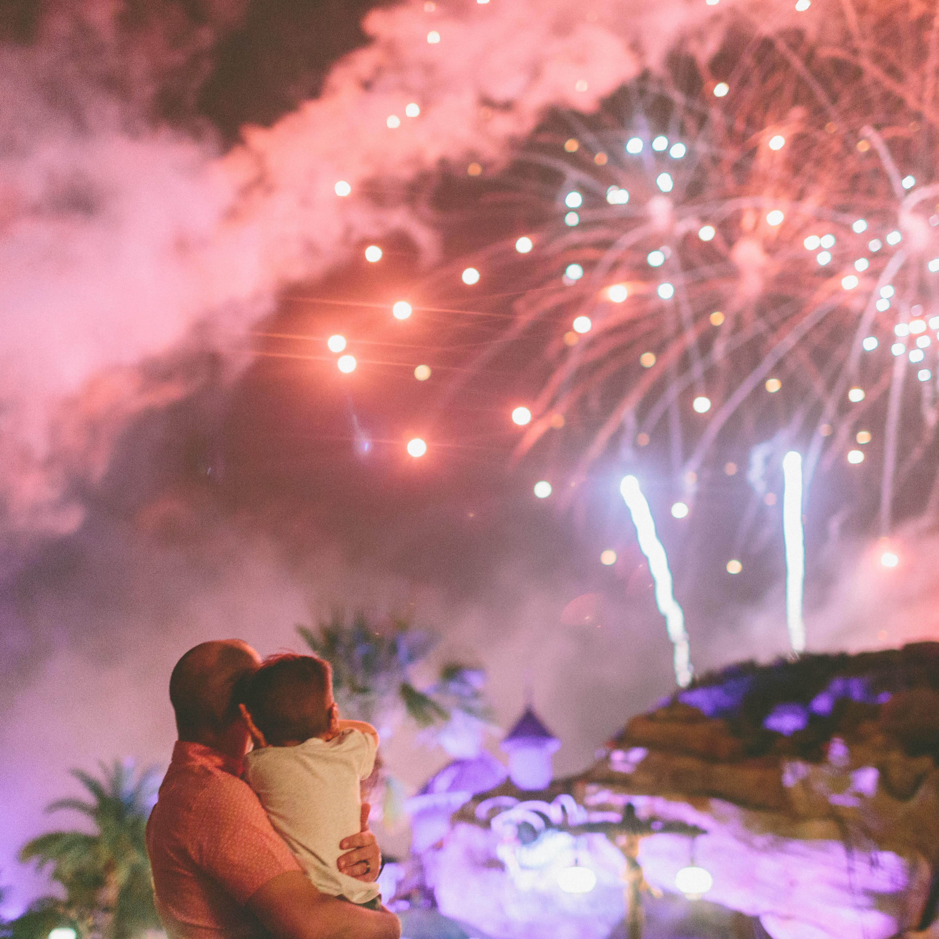 Father holding son, watching fireworks show