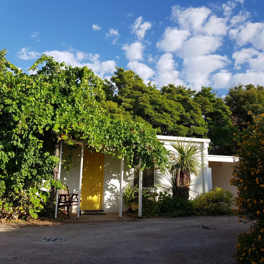 View of white cottage with yellow door, thick ivy growing over front porch, and surrounded by trees.