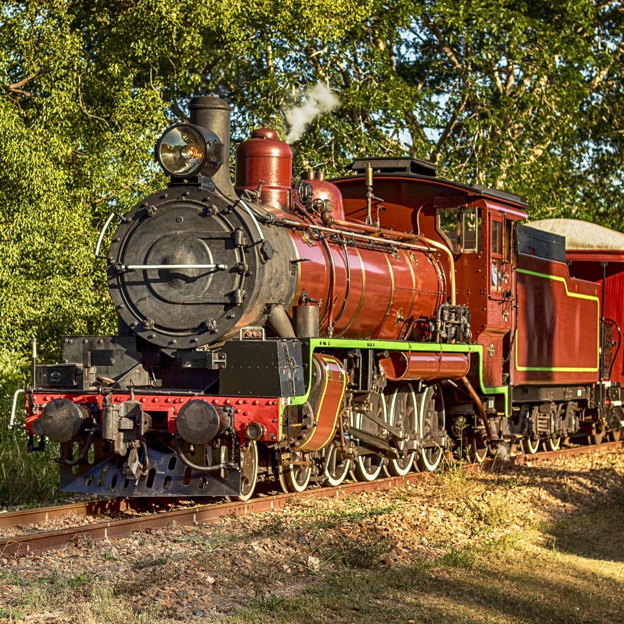 Red steam engine pulling cars at Mary Valley Rattler attraction in Queensland, Australia