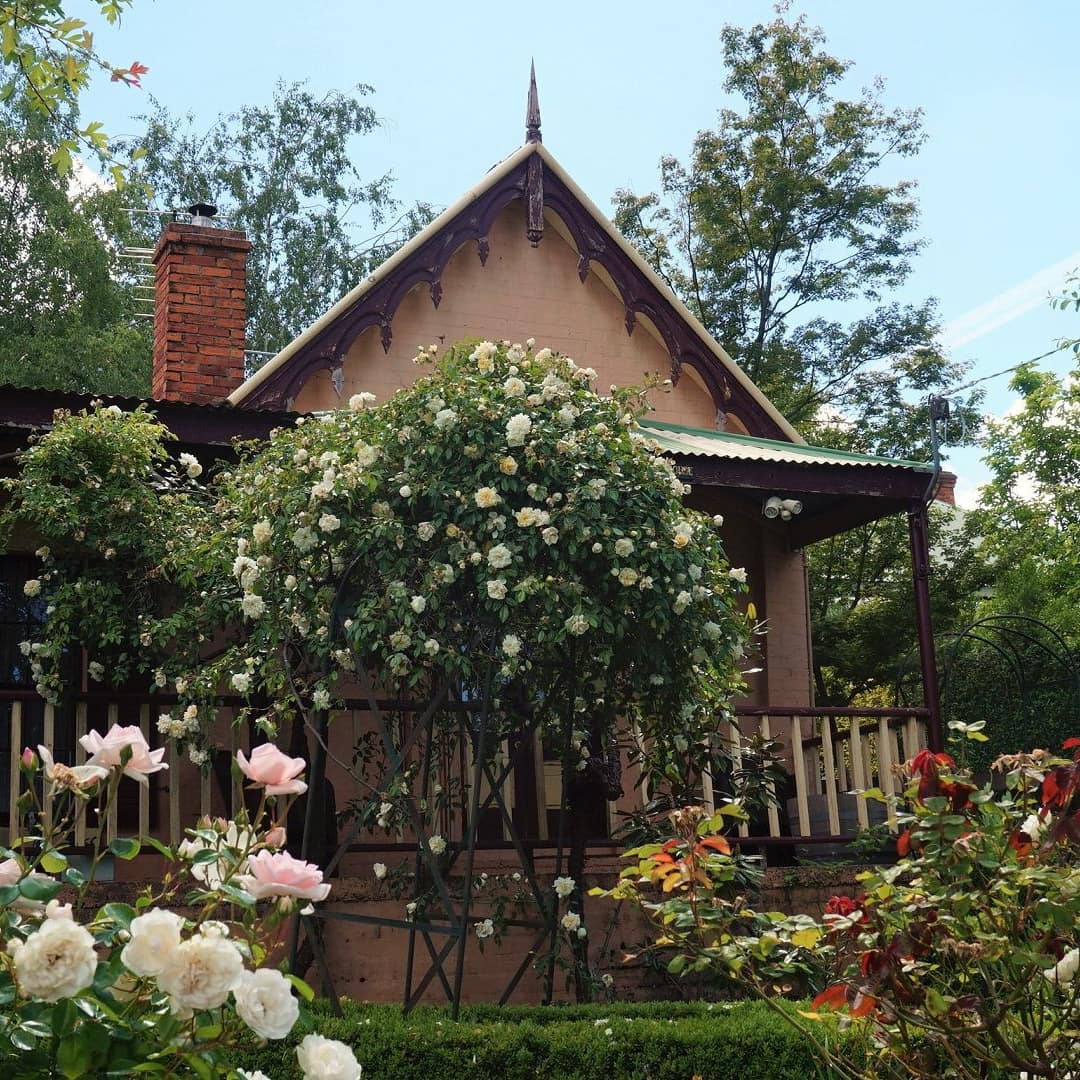 Charming cottage with beige siding, covered porch, and lush rose garden.