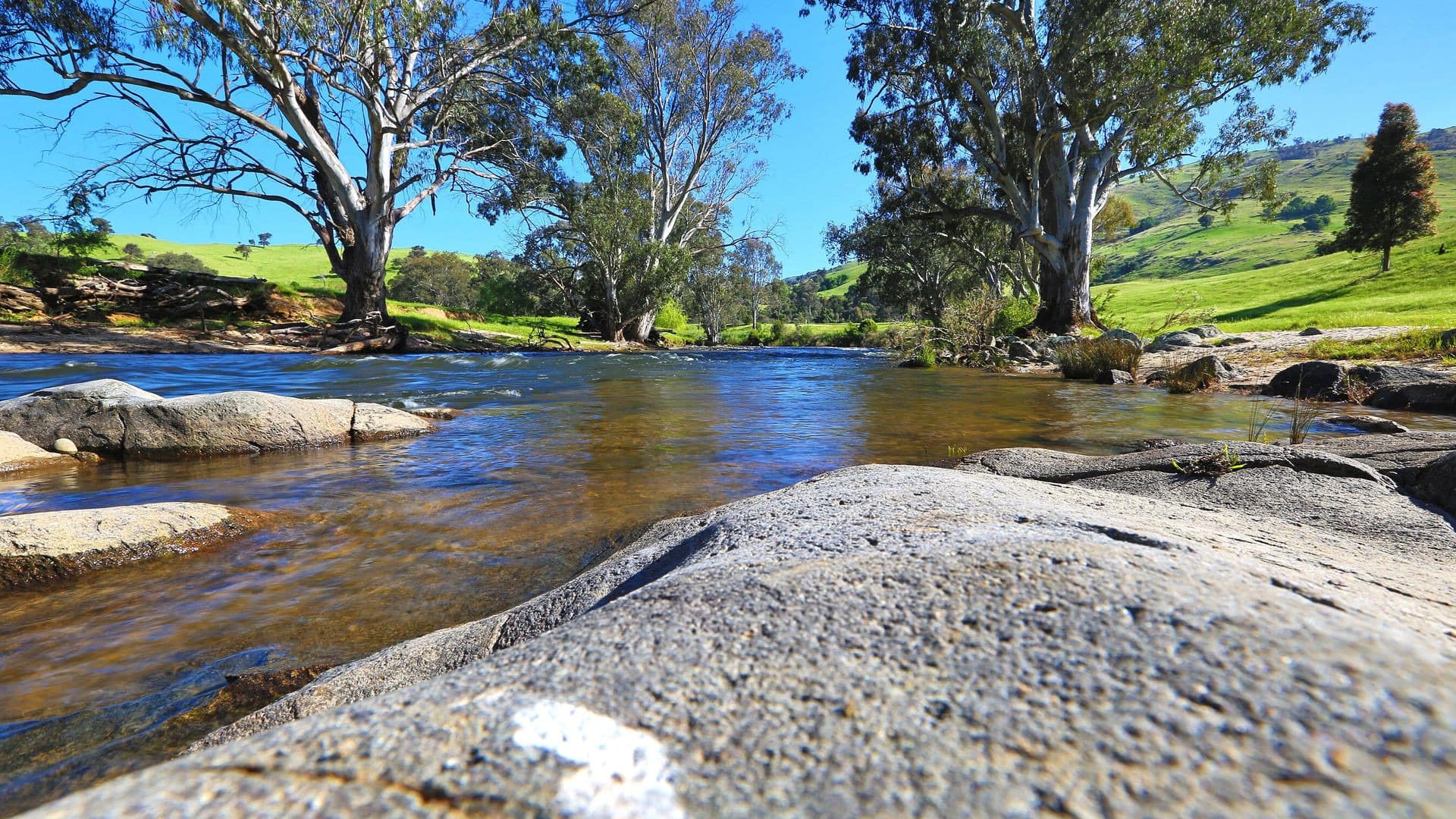 Journey through scenic natural landscapes by booking Tumut accommodation