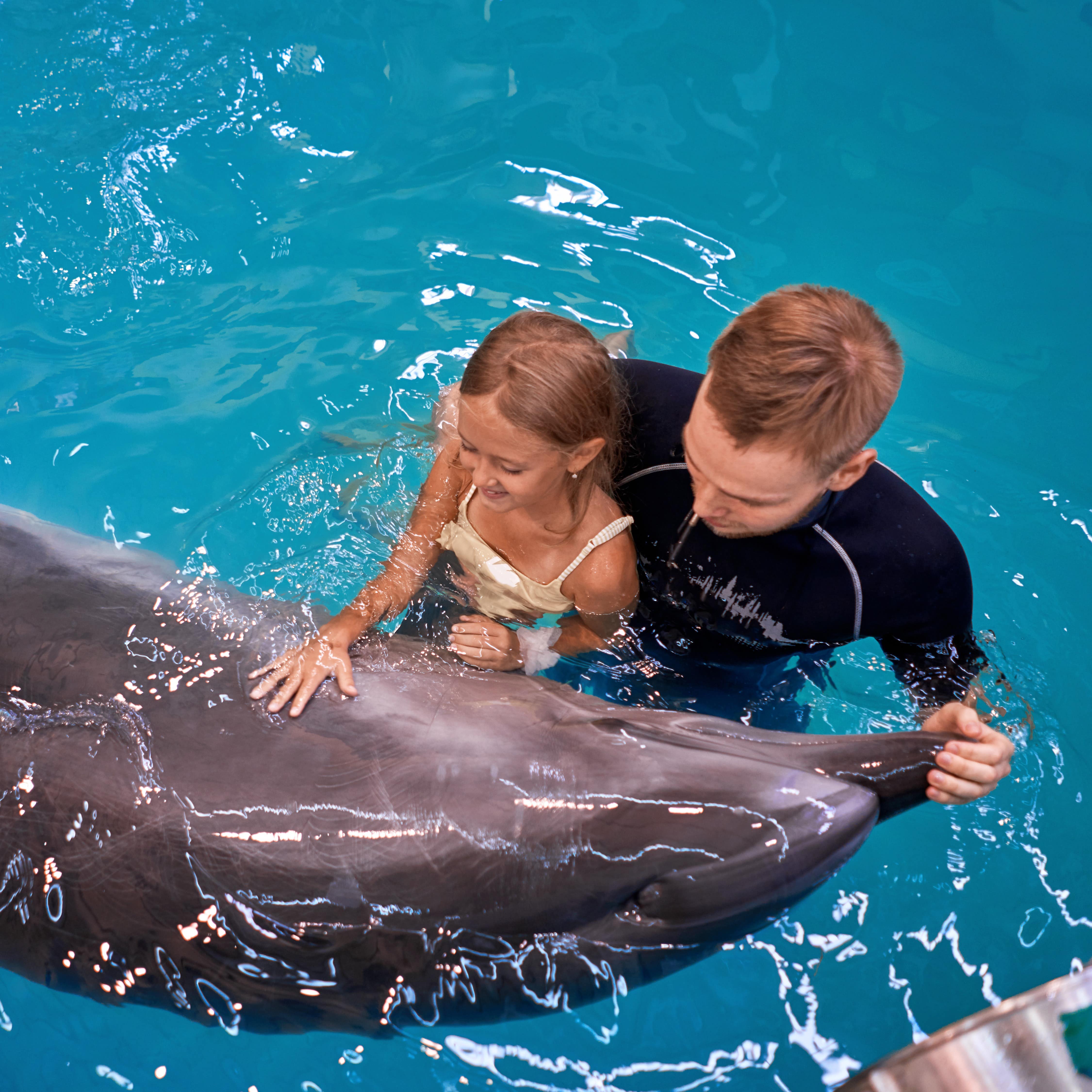 Child swimming with dolphin