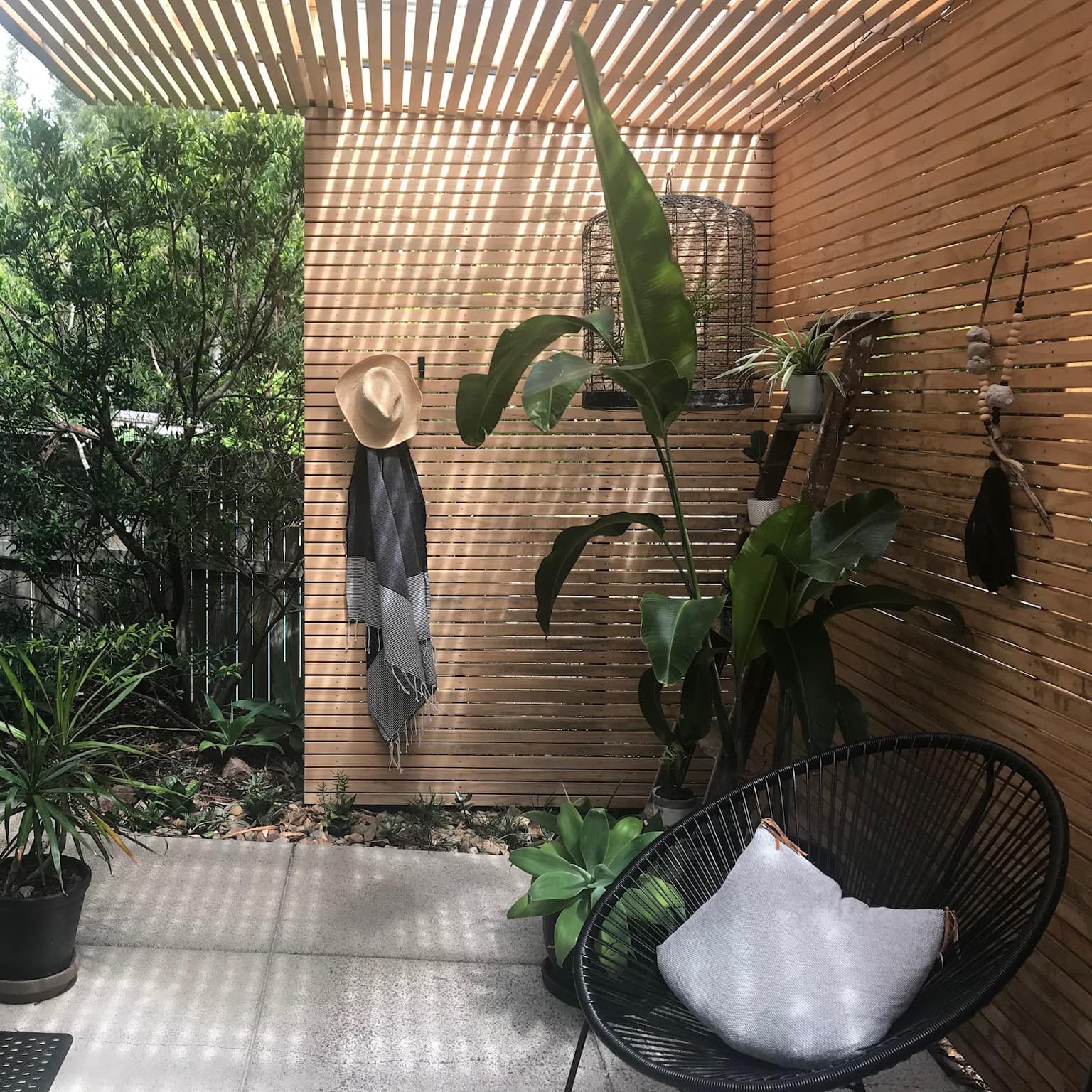 Courtyard with a slat wood wall, cement patio, black woven round chair, potted tropical plants and rustic decor.