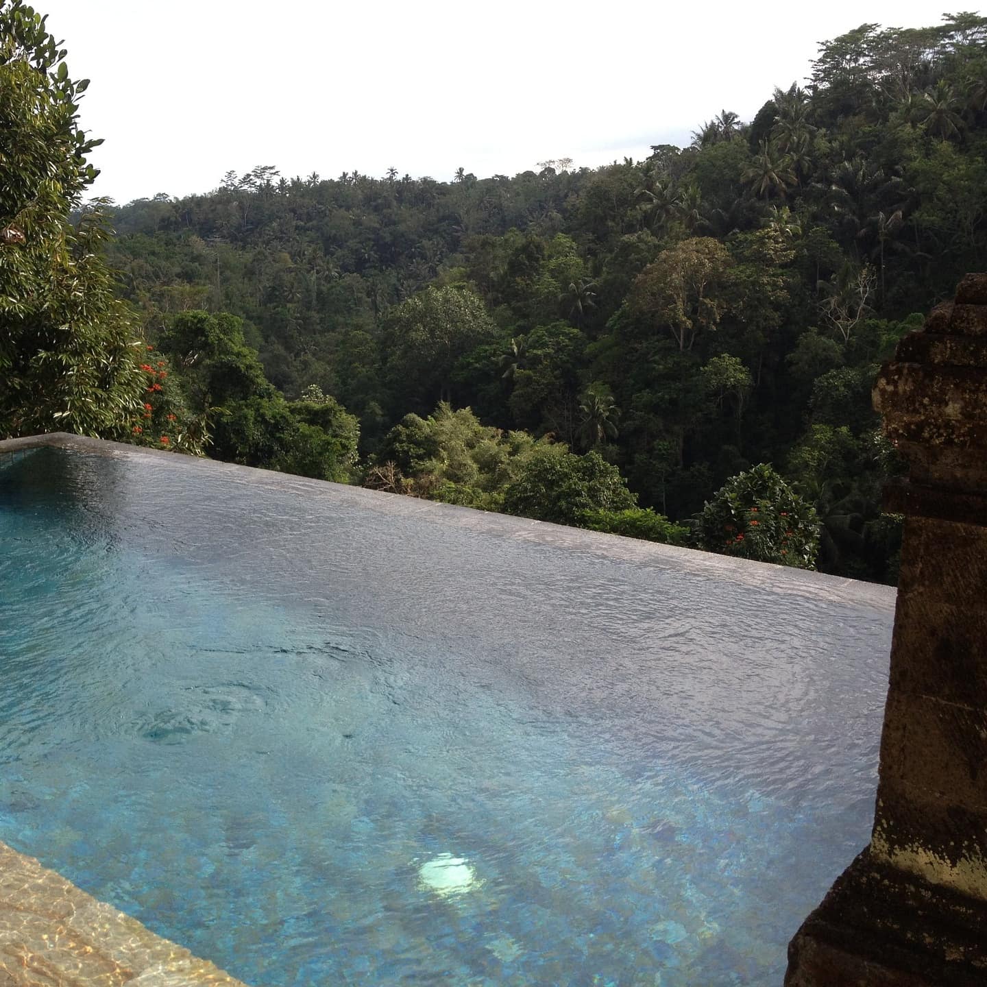 Infinity pool of a Bali villa with deep blue waters set on a hill with a view of the surrounding rainforest