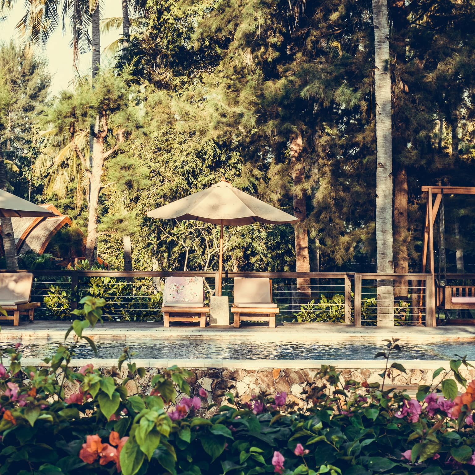 Bank of flowering vines growing against the side of a private pool with lounges, wooden swing and palms