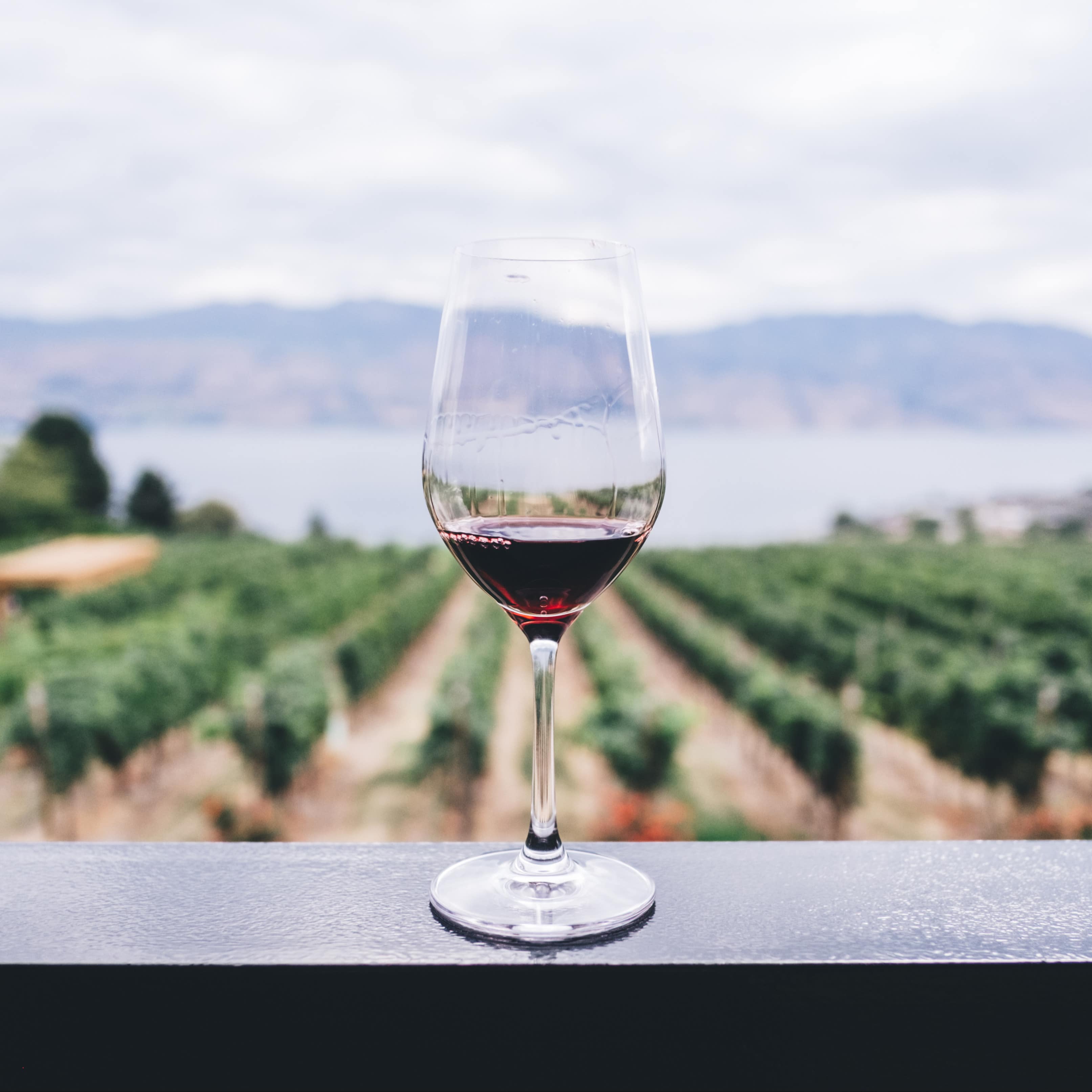 A glass of red wine sits on a balcony rail with a vineyard, bay and hills in the background