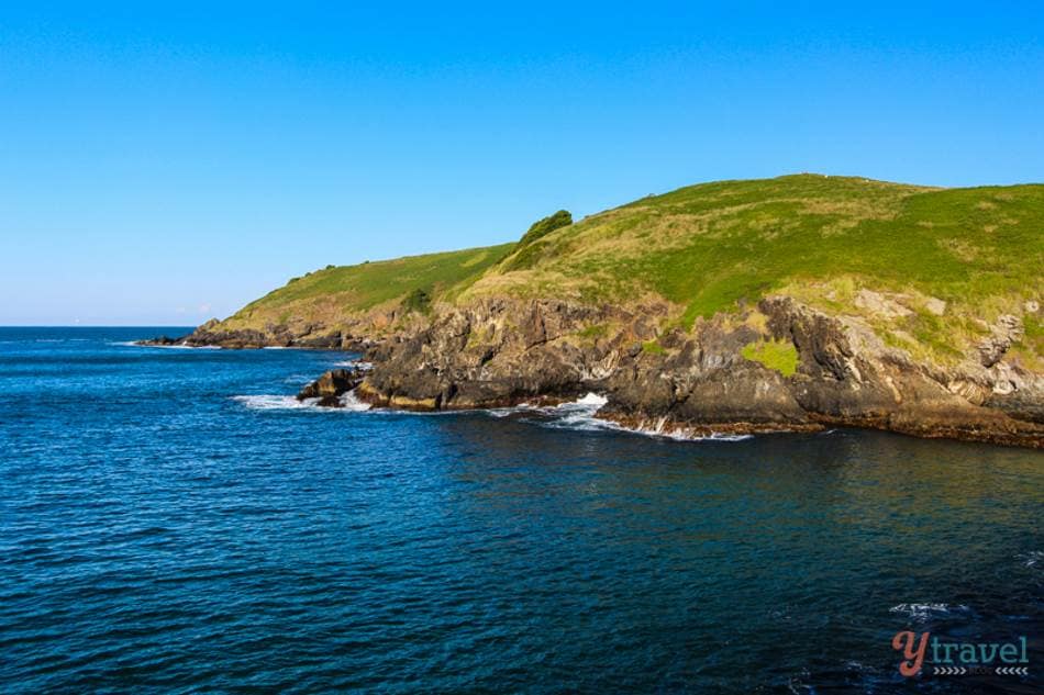 things to do in coffs harbour - Muttonbird Island 1