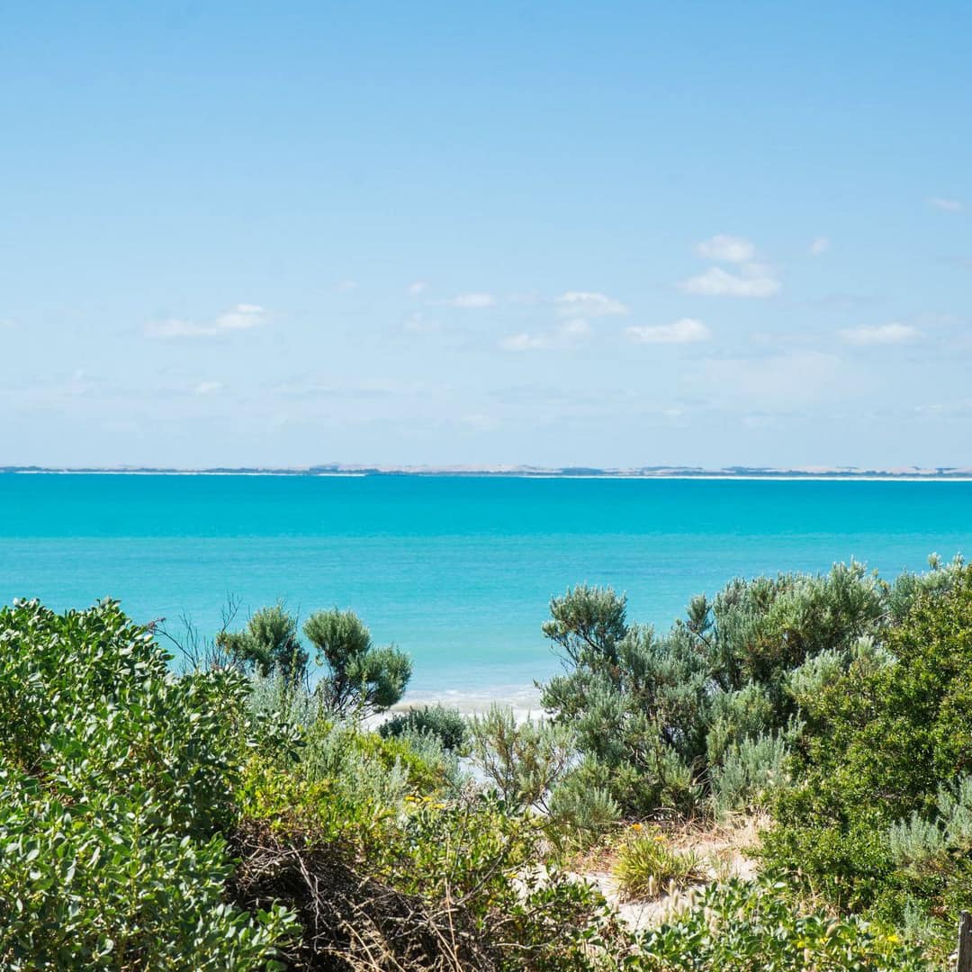 View overlooking crystal blue ocean and thick vegetation.