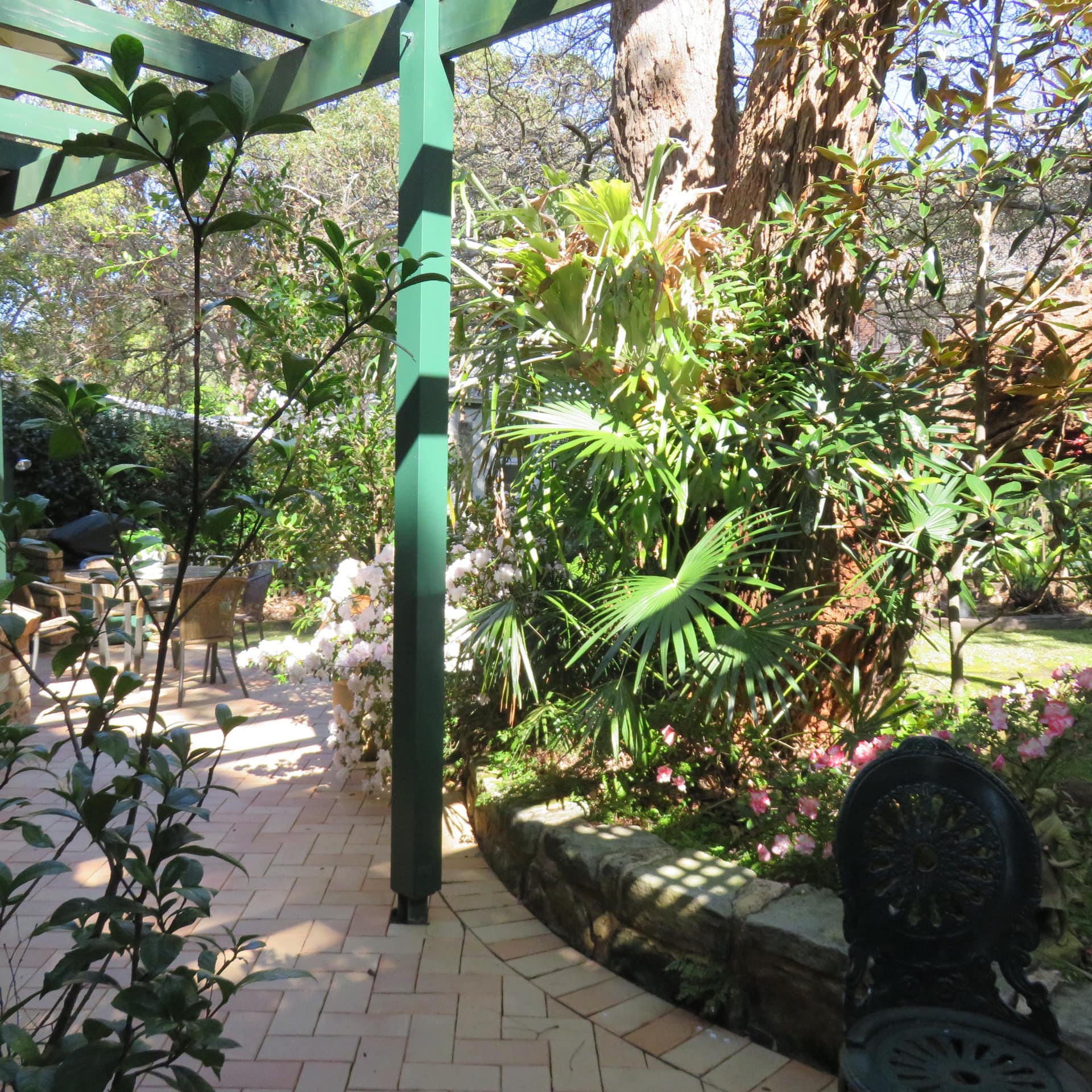 Patio garden from bungalow
