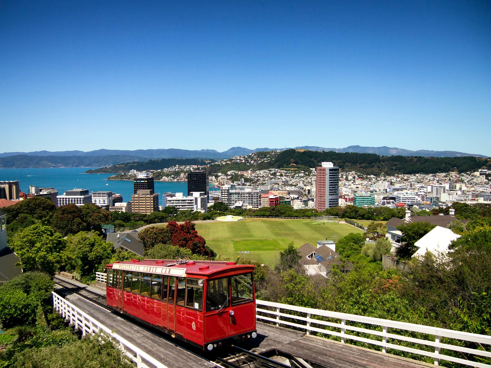 wellington cable car with views of wellington city in the background