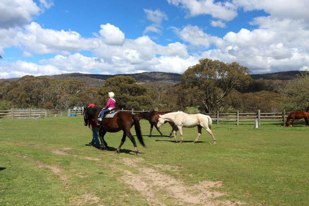 things to do in jindabyne - Horse Riding at Jindabyne Tasmania
