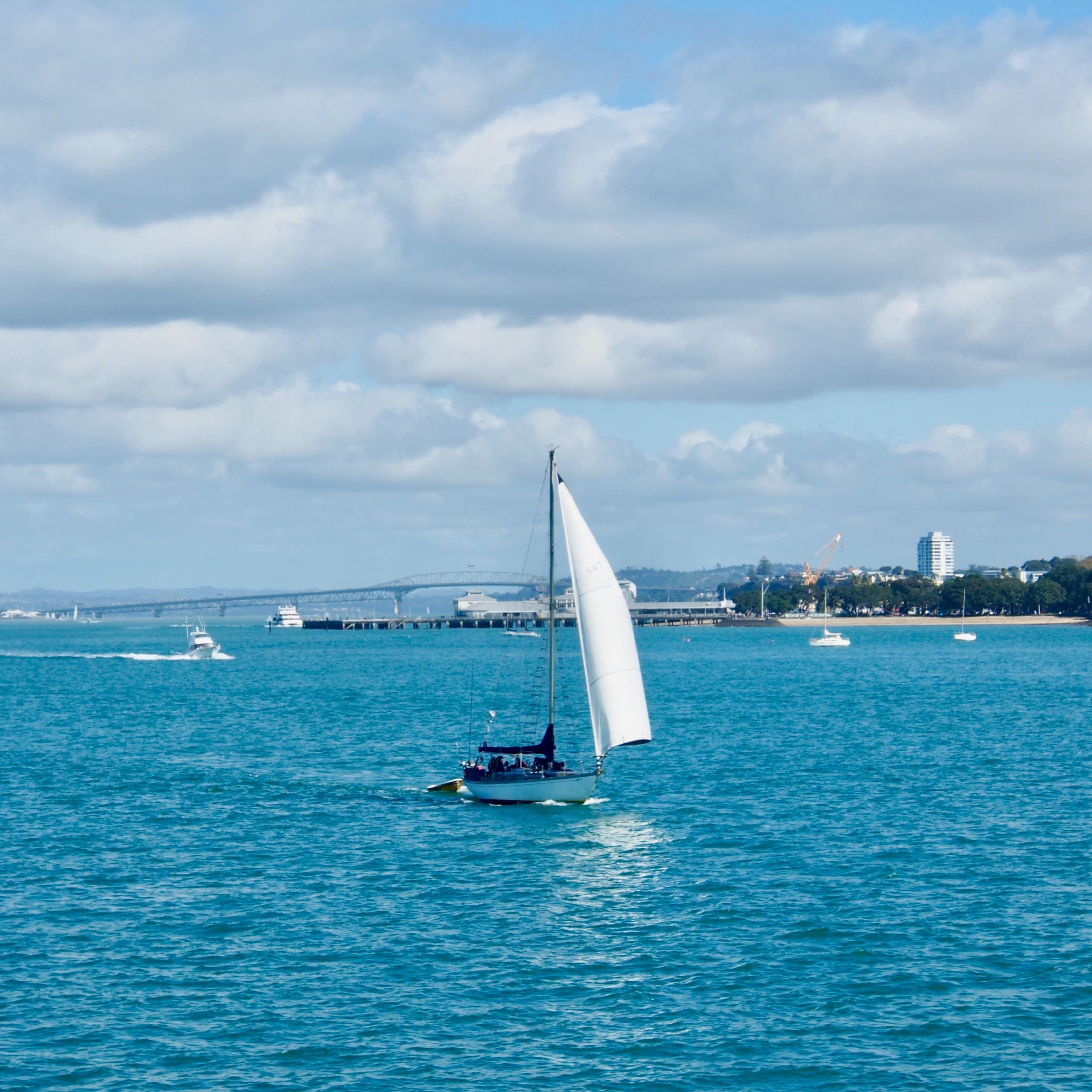 White sailboat in blue waters near Auckland
