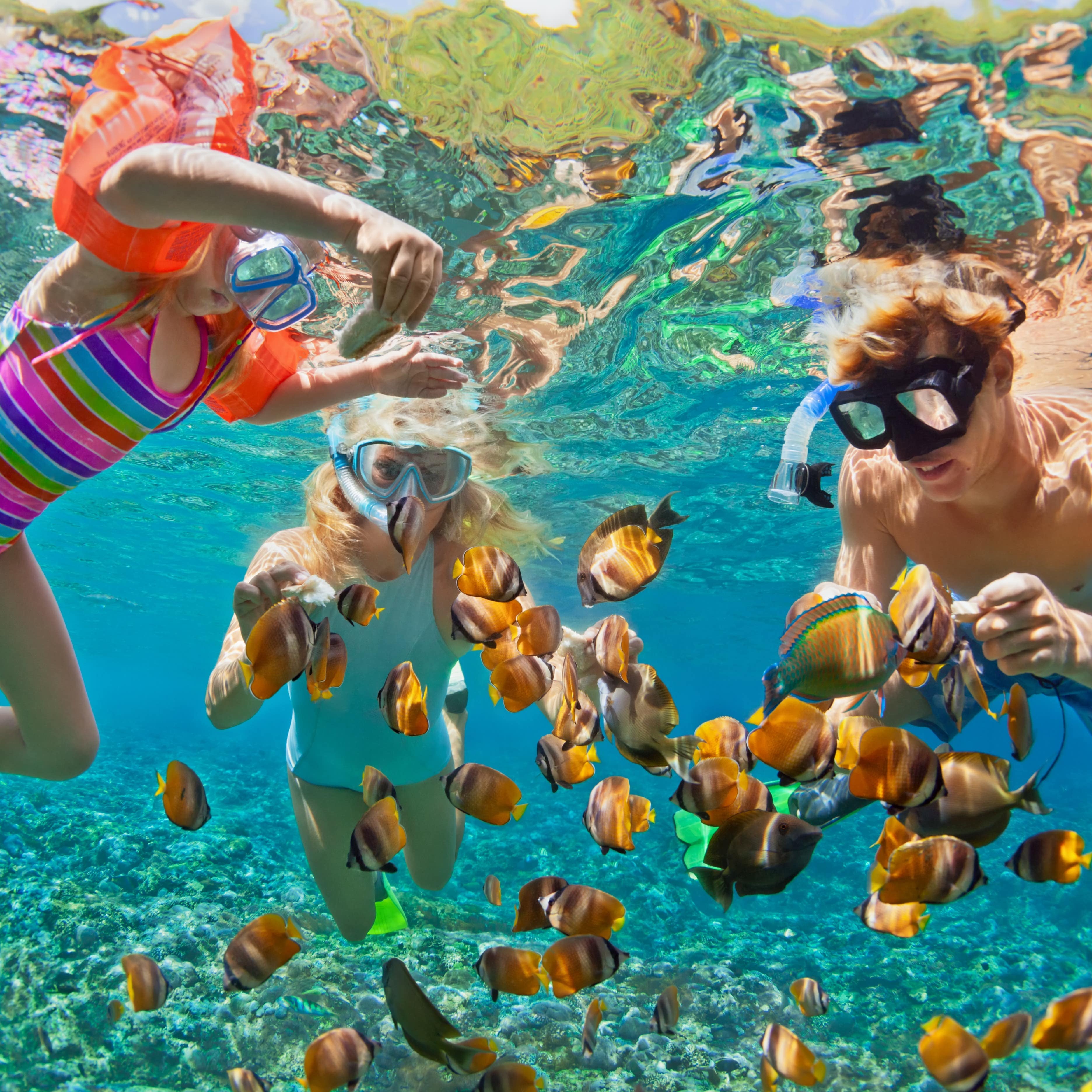 Family snorkeling