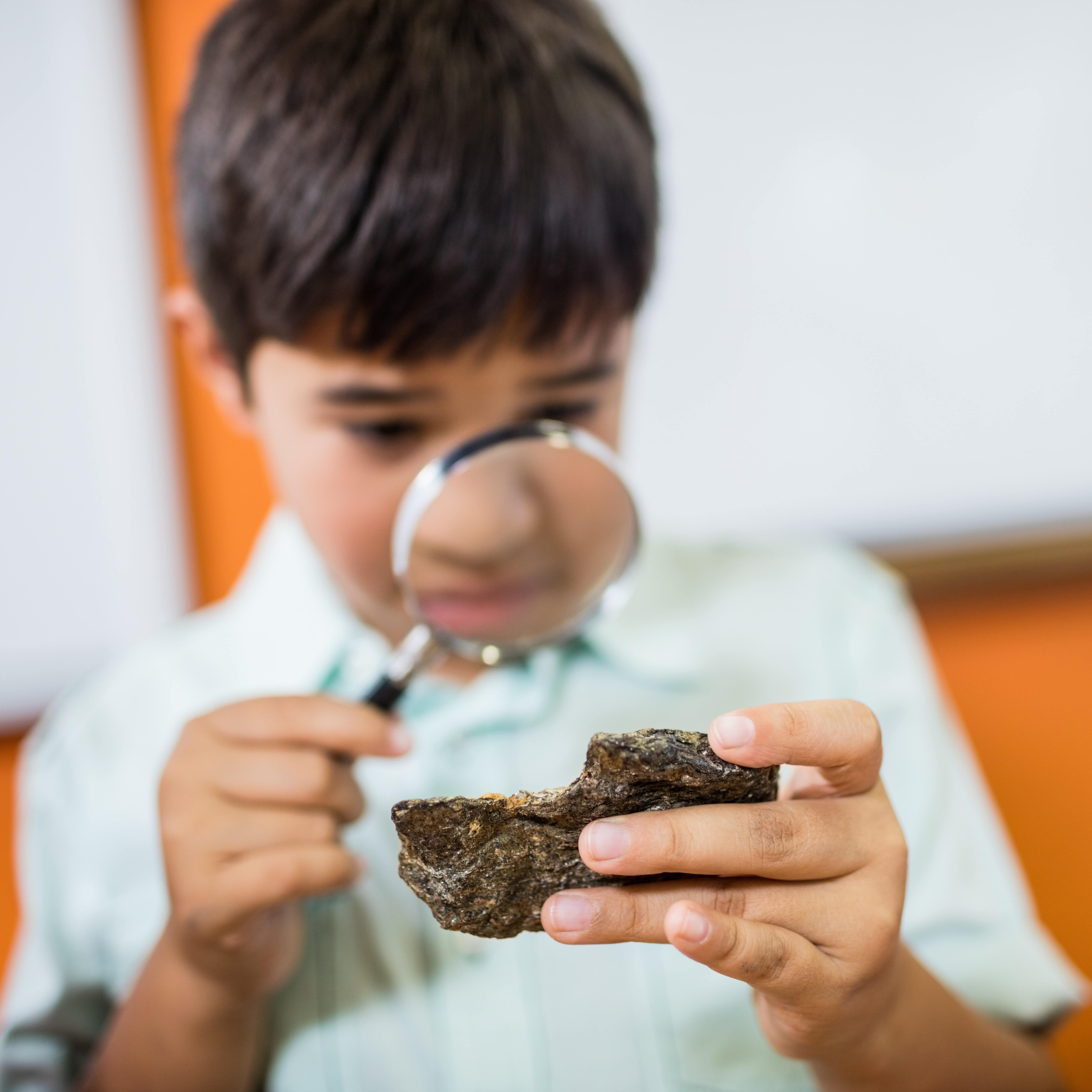 Young boy looking fossils with a magnifying glass