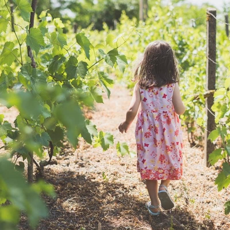 A young girl in a red and pink sundress and sandals walks through the vineyard of farm stay on a sunny day