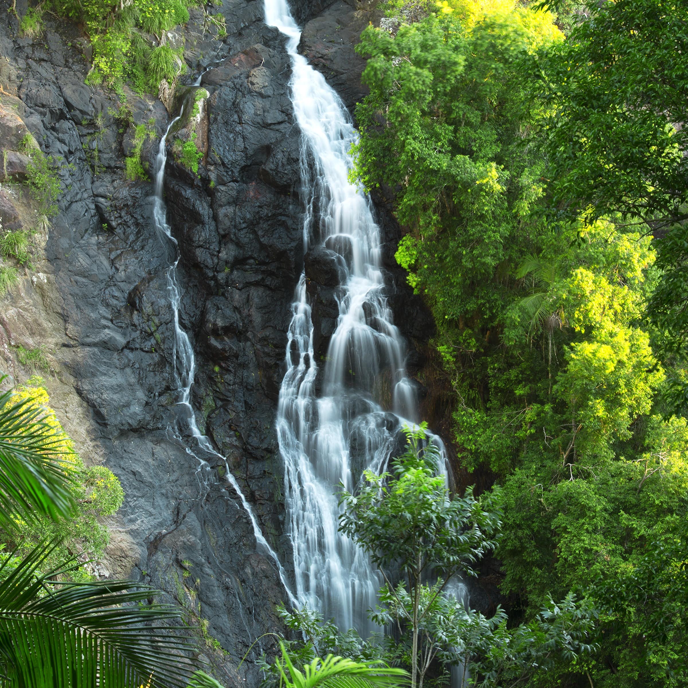 Cascading Kondalilla Waterfall with sunlight and foliage in Queensland, Australia