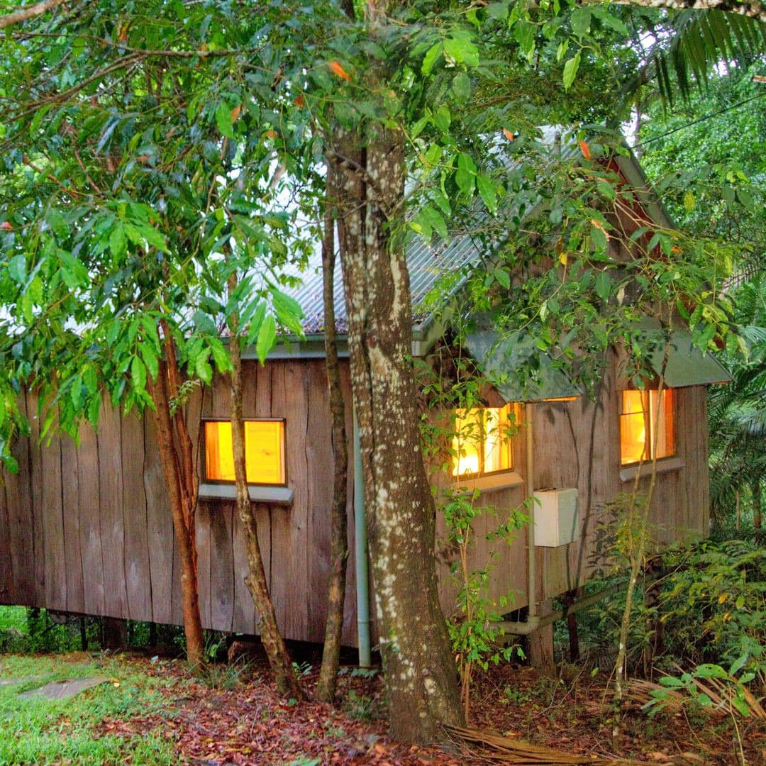 Log cabin tucked away among the trees in Cedar Creek