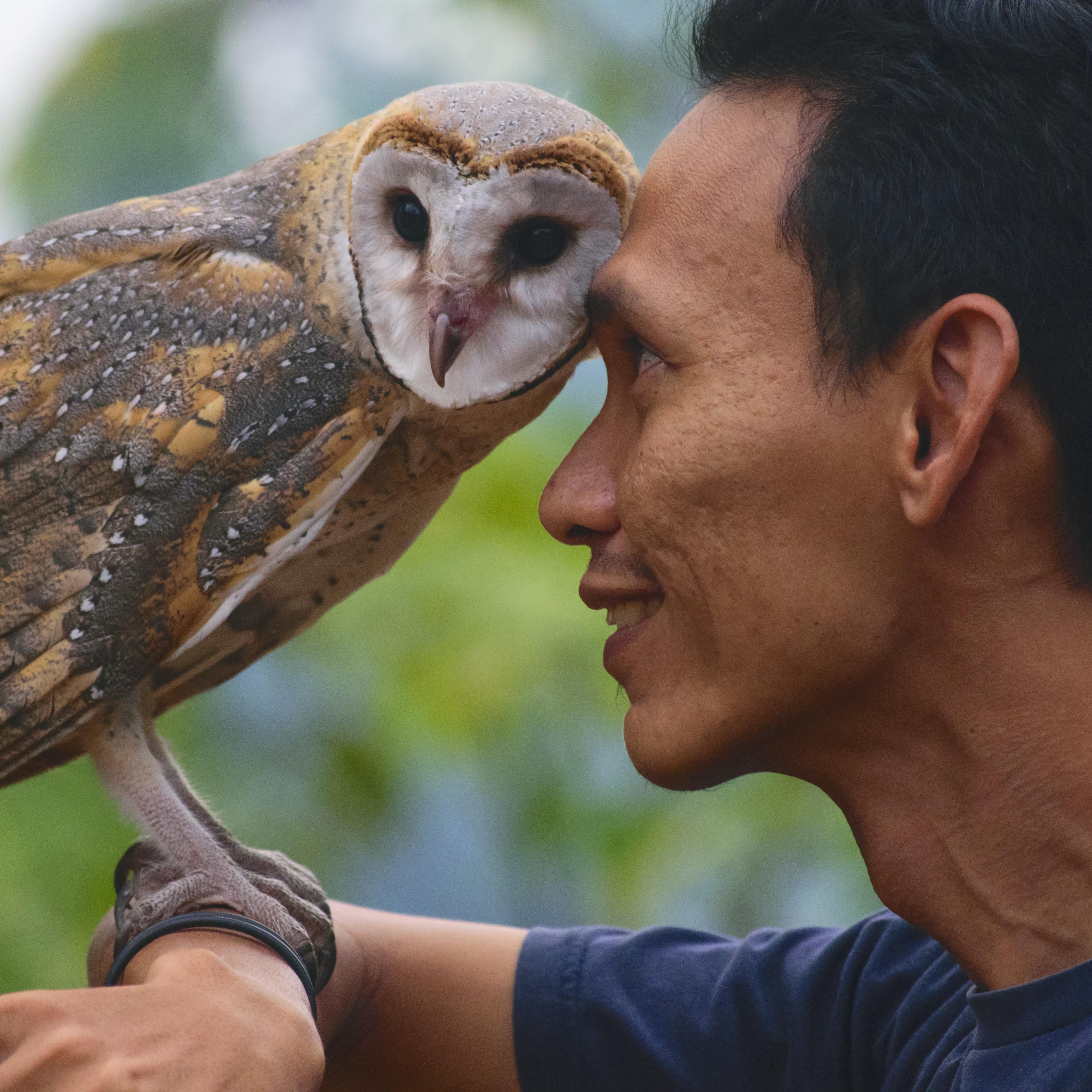 Closeup of man holding owl