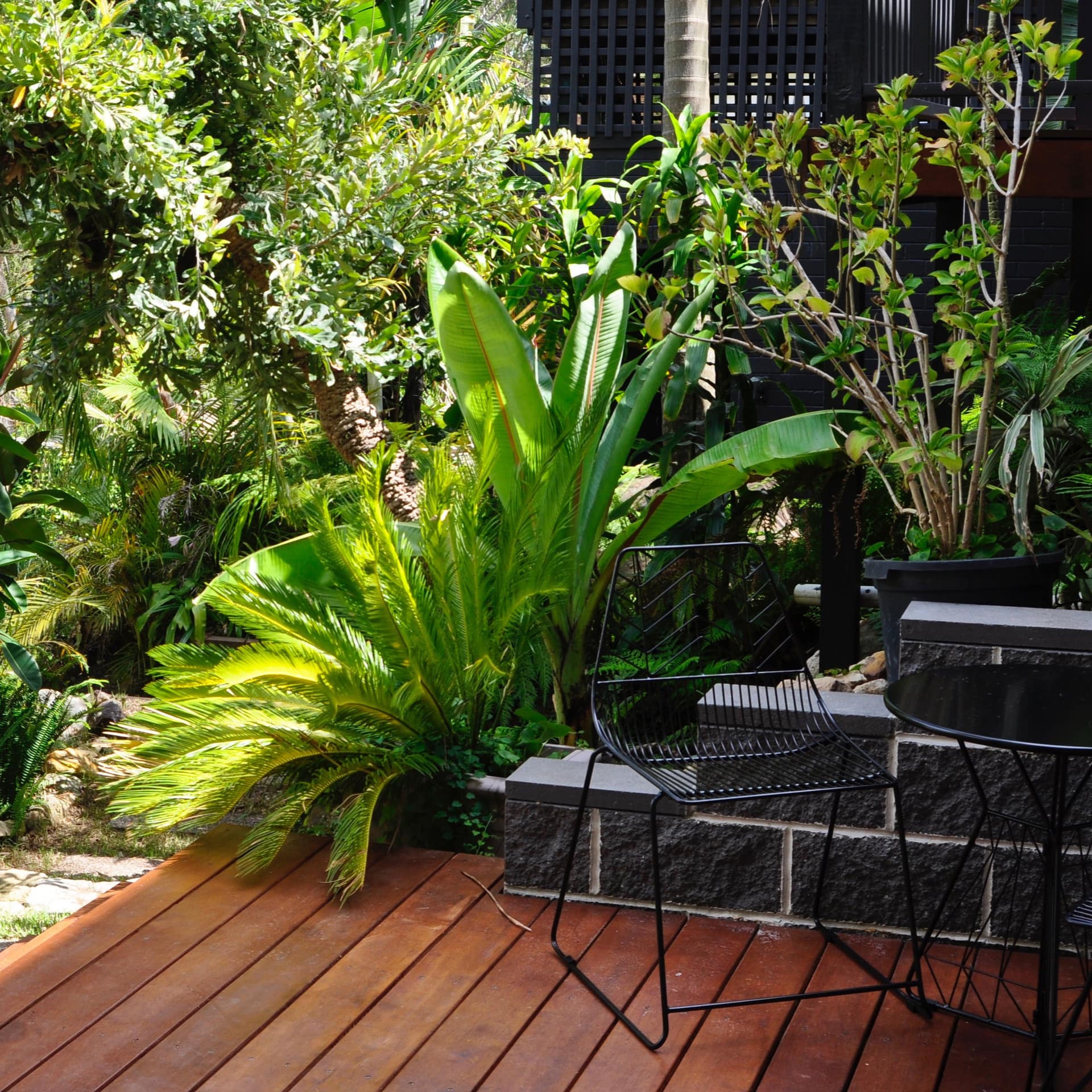 View of sunny, wood deck with black bistro dining set, surrounded by lush, tropical plants.