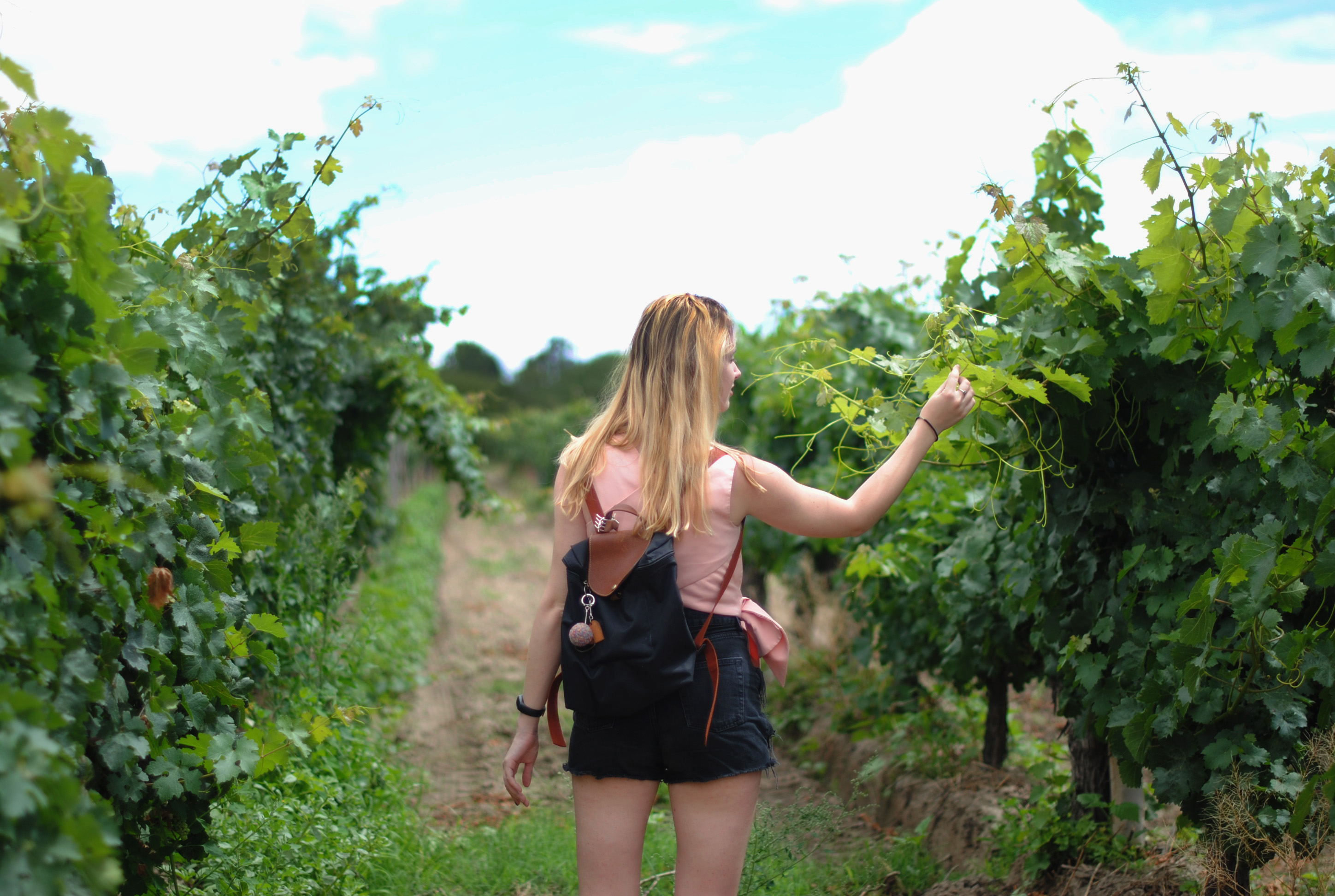 Enjoy Bright chalets and days out to wineries and festivals