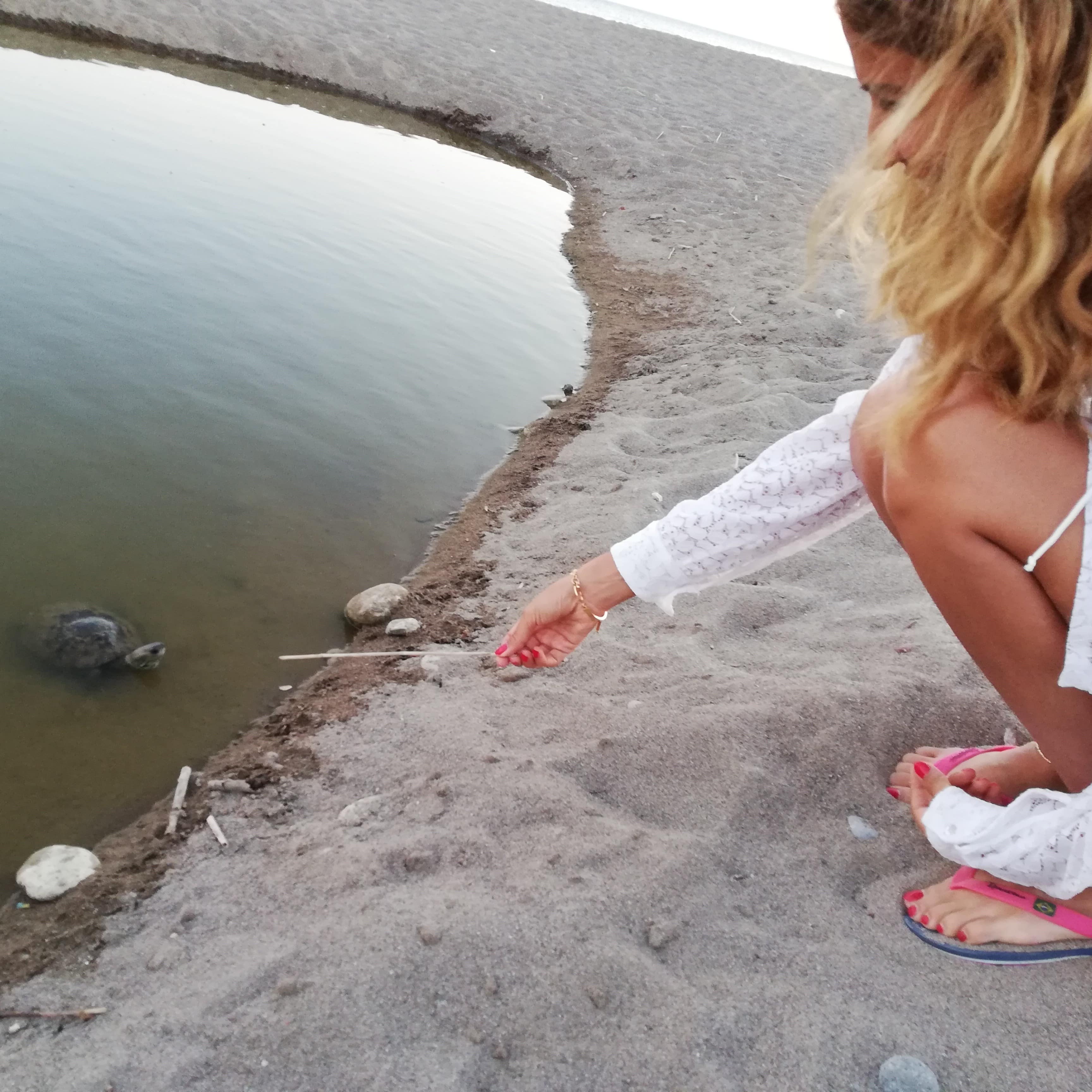 Young woman looking at turtle by water hole
