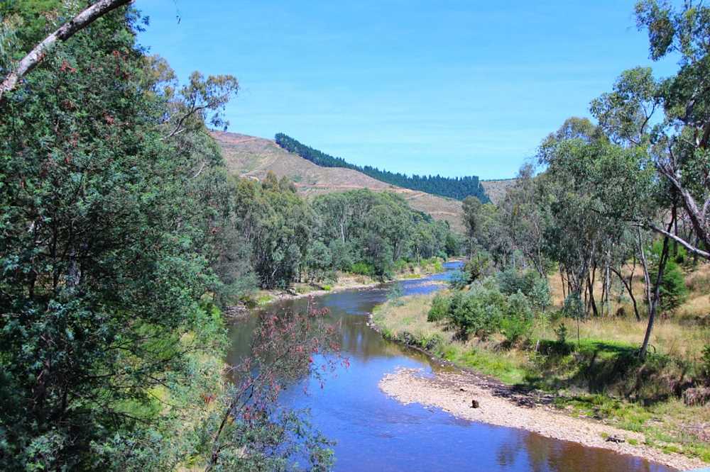 things to do in bright - Bright Trail Nature Australia