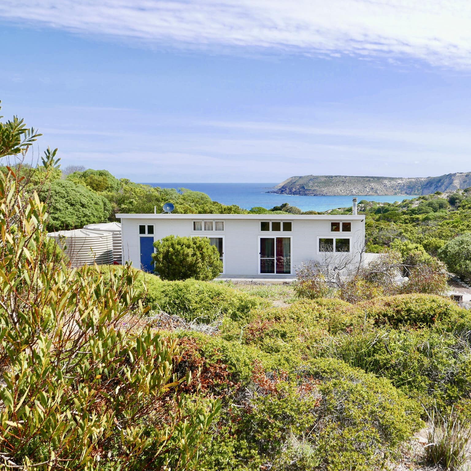 Exterior view of white, modern cottage with blue door surrounded by thick vegetation, views of the ocean in the distance.