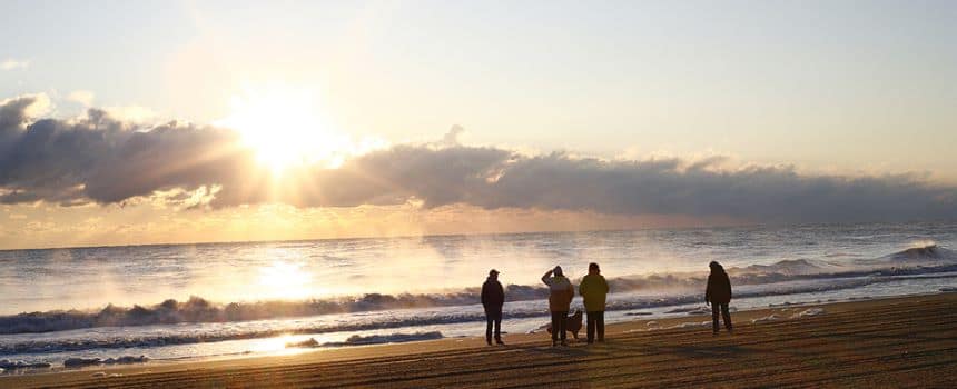 sunshine coast - pet dog and people on the beack in Australia