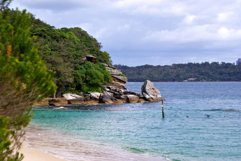 best sydney beaches for kids - shark Beach new south wales australia