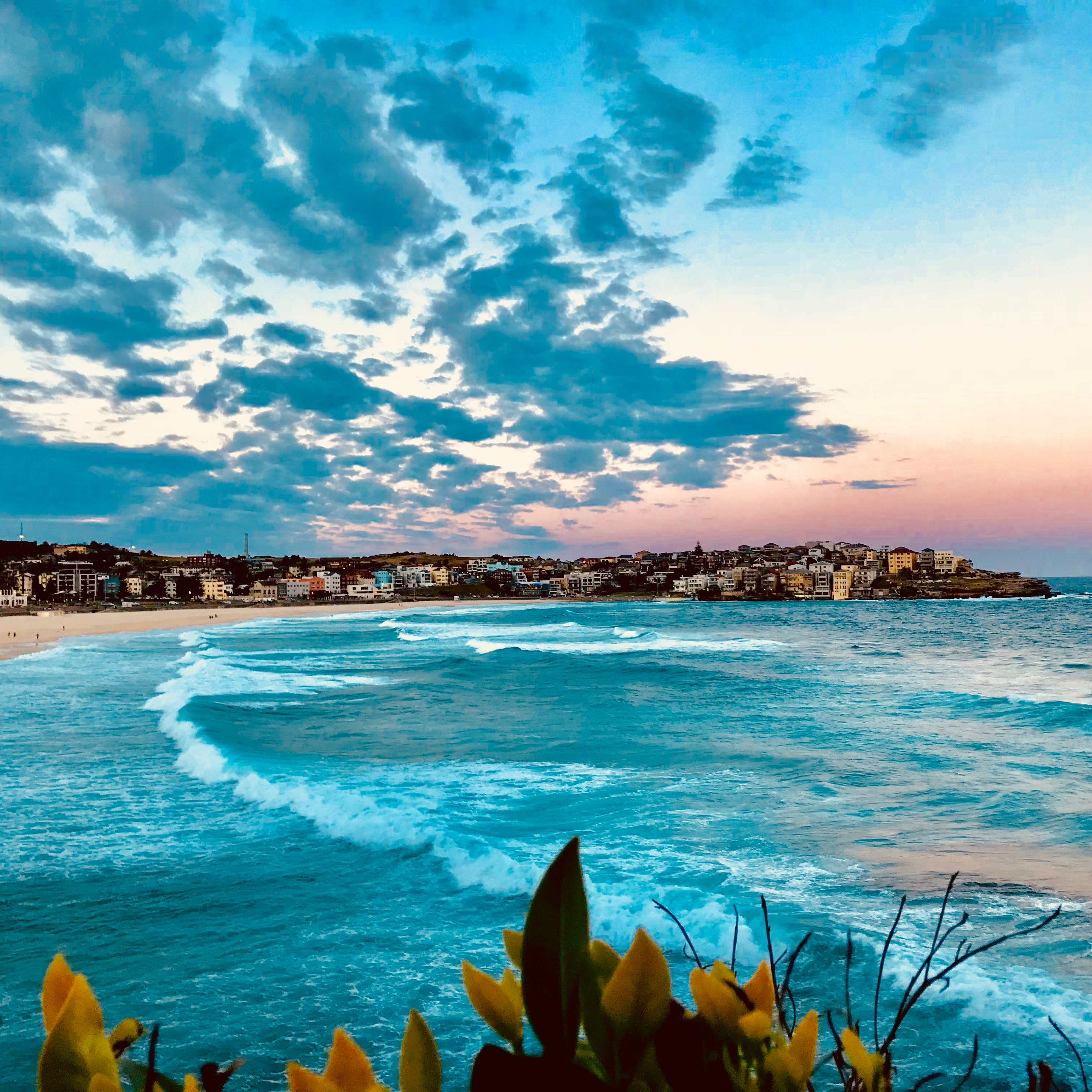 Vivid teal ocean waters with distant Bondi city in the background under a wispy cloud sunset